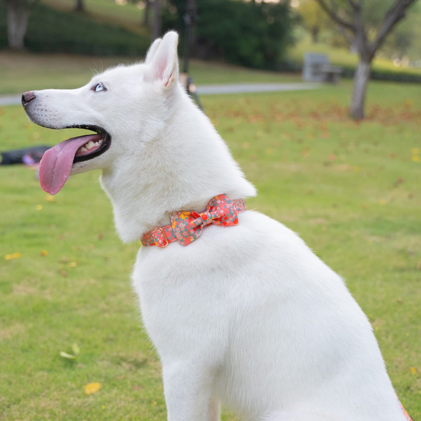 Tunkoo Christmas Dog Collar with Pretty Bow Tie - Red & Green Plaid Pet Collar, Adjustable Available in Small Medium Large, Gift for Girls Boys Dog, S