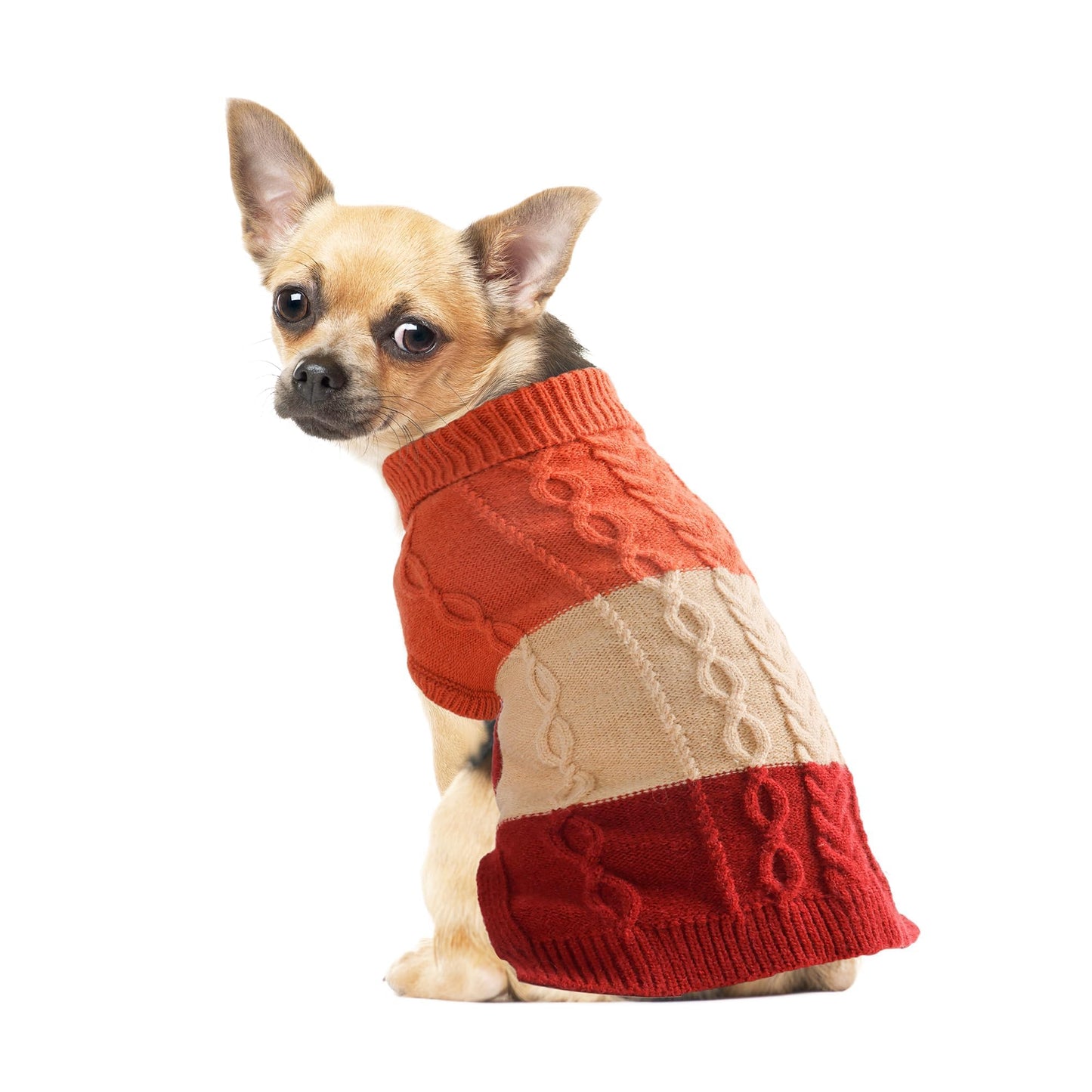 NACOCO Dog Sweater Color Block - Halloween Cat Knitted Clothes Pet Fashion Sweatshirt Soft Vest Thickening Winter Warm Knitwear Outfits Apparel for Small Medium Dog Puppy Kitten(Orange, M)