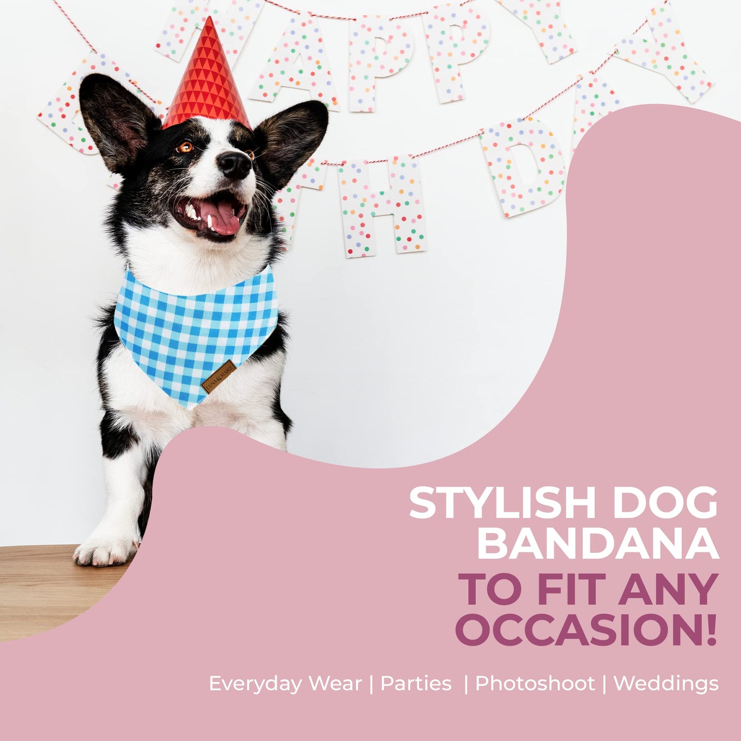 Luxury Pet Birthday Bandanas -Premium & Silky Poly Fabric | 100% Handmade | Custom Shape Dual Layered (Birthday Girl, Medium)