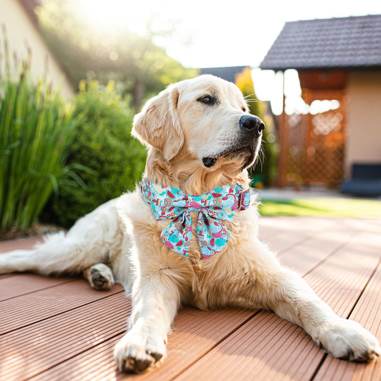 Maca Bates Duck Dog Collar with Bow Bowtie for Dogs Bow Tie Adjustable Breakaway Green Summer Thick Collars Accessories Birthday Gift Colar for XS Small Medium Large XL Boy Girl Male Female Puppy Pet