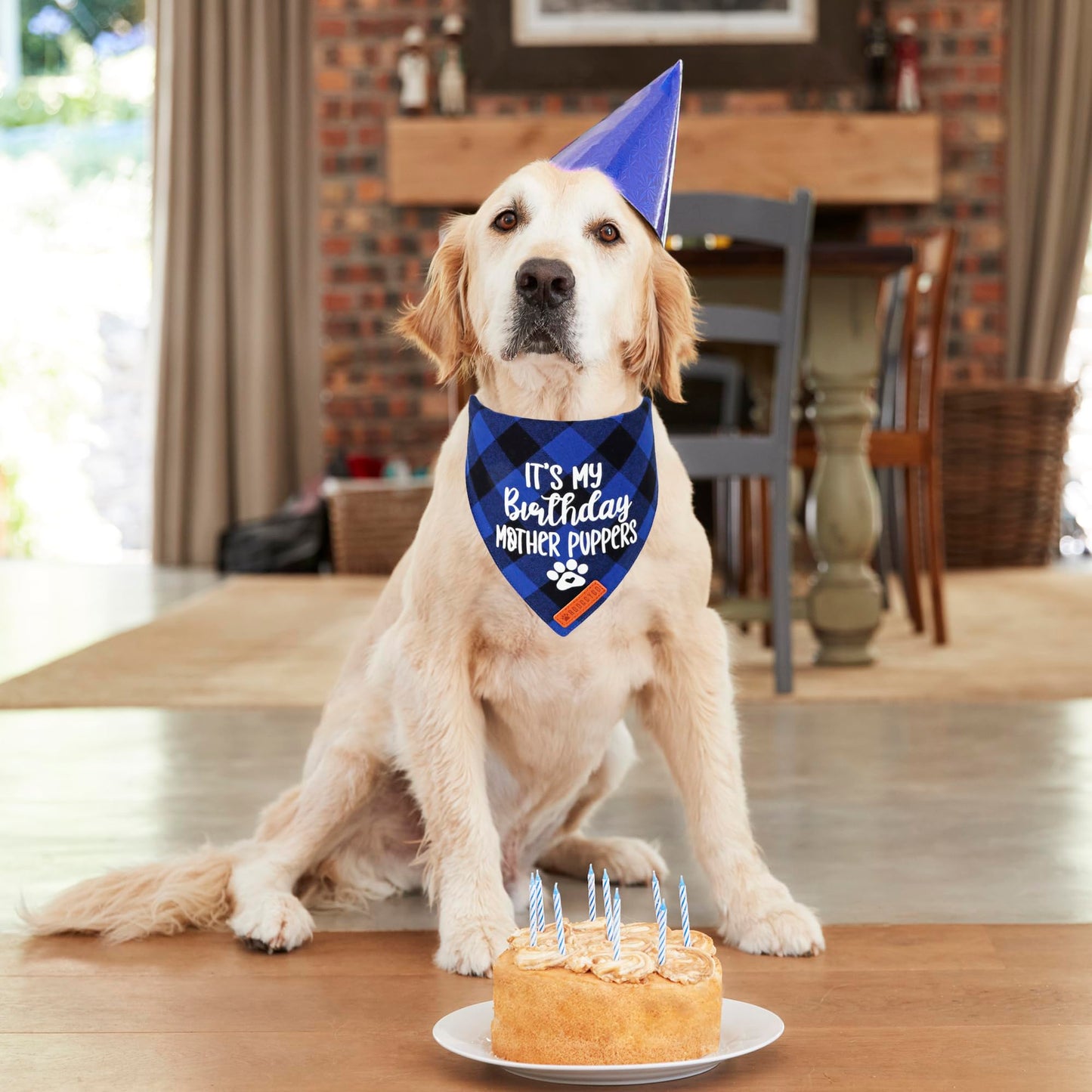 ADOGGYGO Dog Birthday Bandana, Multi Size Offered, Blue Plaid Birthday Boy Dog Bandana for Medium Large Dogs Pets (Blue, Large)