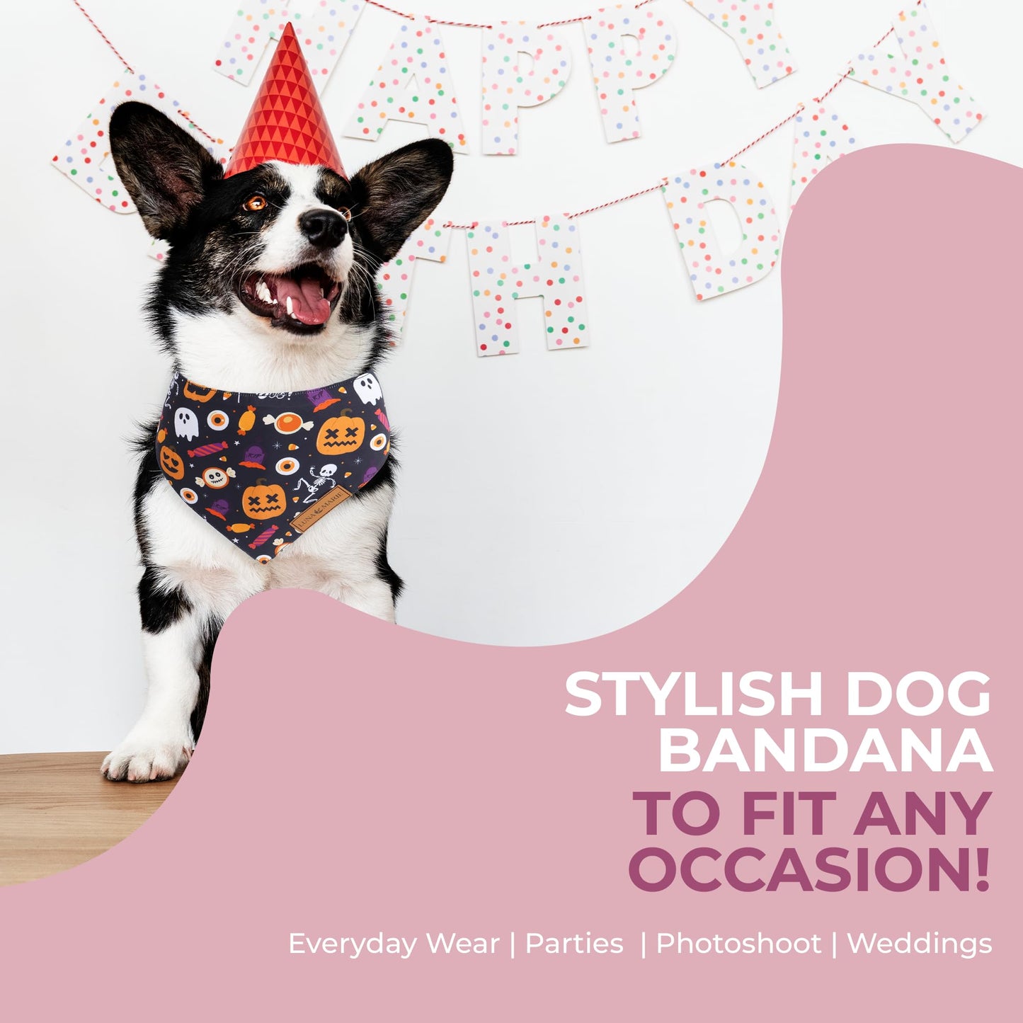 Luxury Pet Birthday Bandanas -Premium & Silky Poly Fabric | 100% Handmade | Custom Shape Dual Layered (Birthday Girl, Medium)