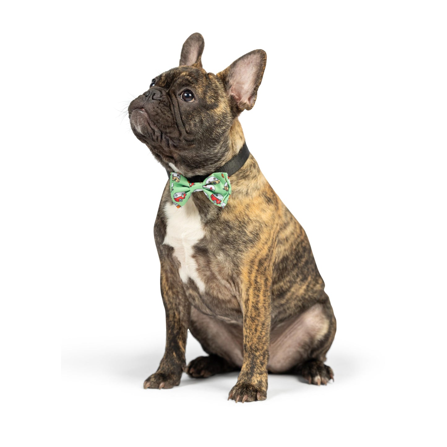 Huxley & Kent Bow Tie for Pets | Fall Check (Extra-Large) | Bow Tie Collar Attachment | Fun Bow Ties for Dogs & Cats | Cute, Comfortable, and Durable | H&K Bow Tie