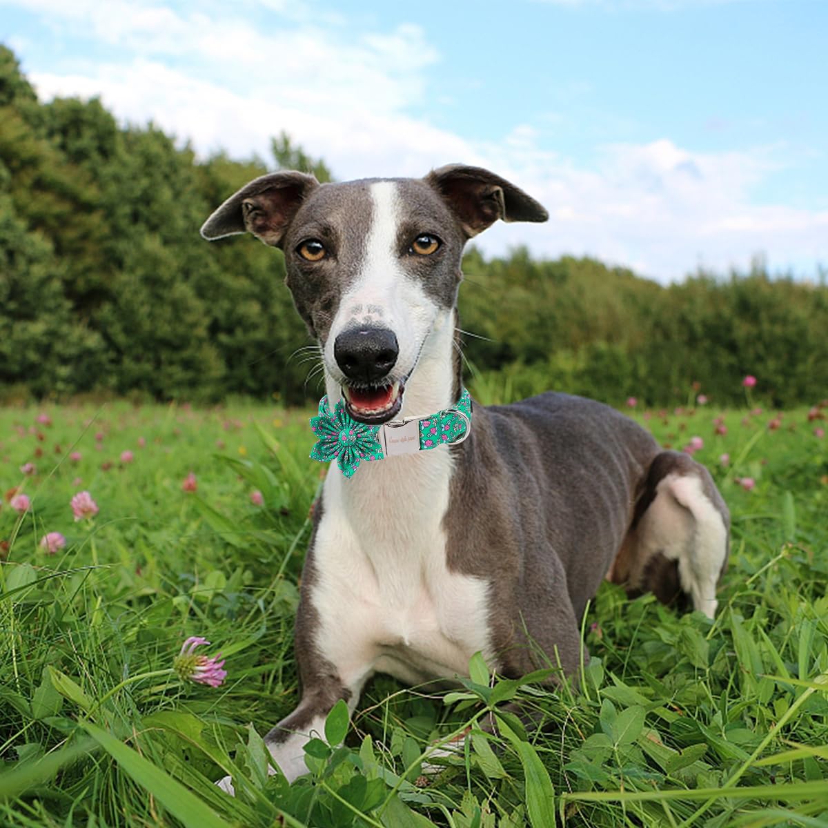 Unique style paws Cartoon Dog Collar with Bow Spring Summer Collar with Flower for Small Medium Large Boys Girls Dogs