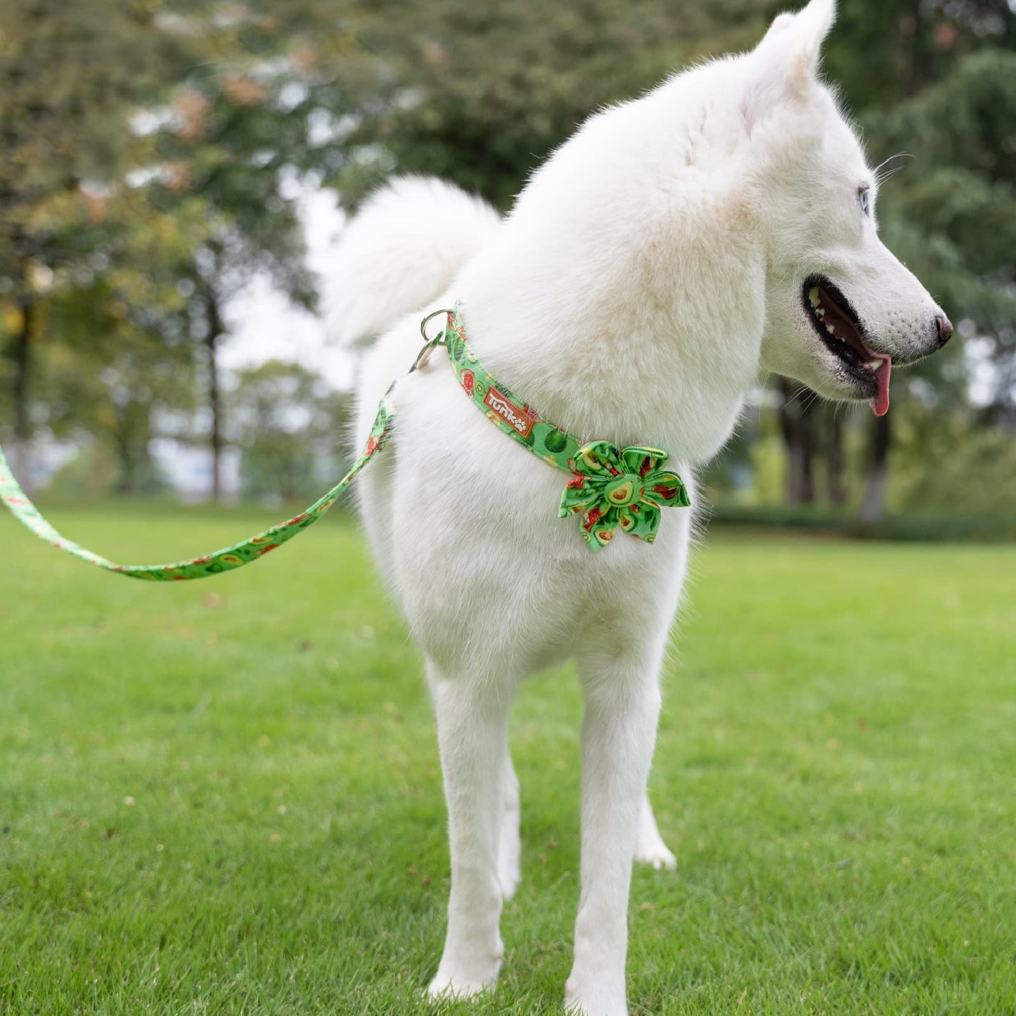 Tunkoo Christmas Dog Collar with Pretty Bow Tie - Red & Green Plaid Pet Collar, Adjustable Available in Small Medium Large, Gift for Girls Boys Dog, S