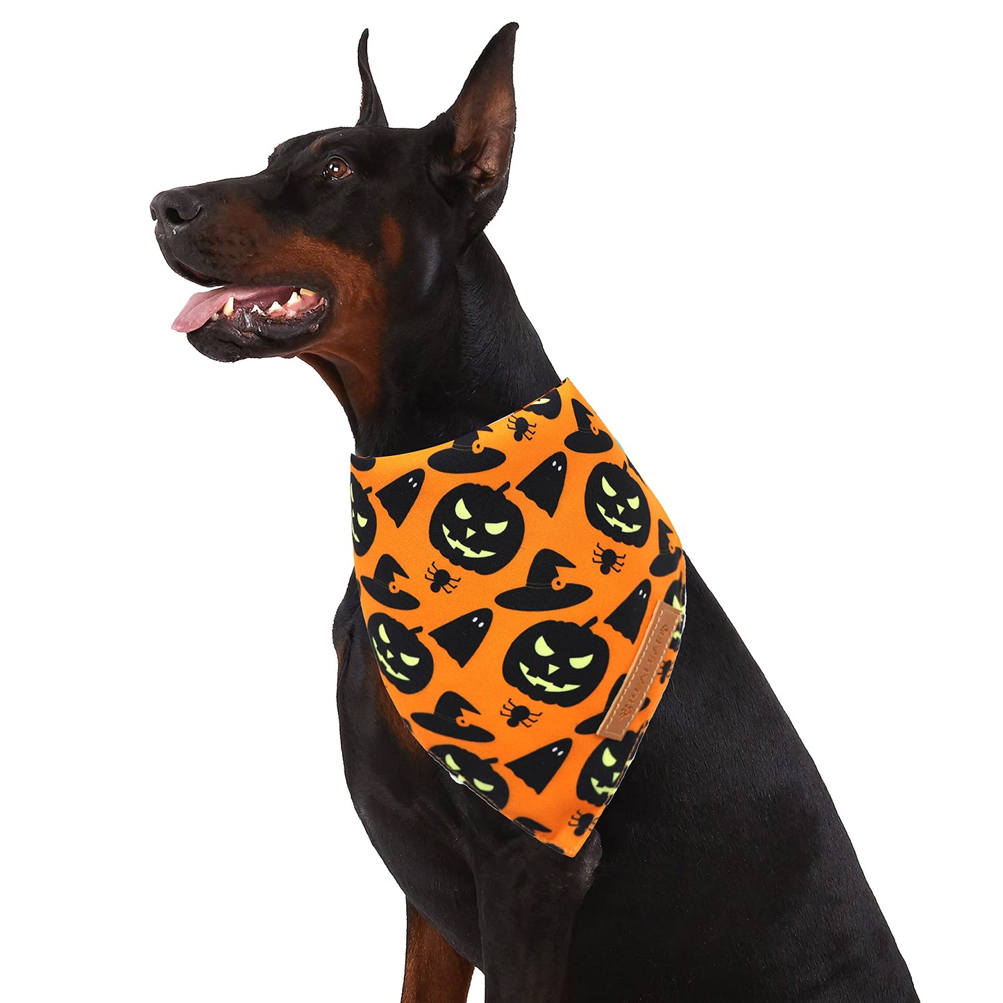 Realeaf Halloween Dog Bandanas 2 Pack, Pumpkin and Spider Web Bibs, Triangle Reversible Fall Pet Scarf, Premium Durable Fabric, Adjustable Fit (Large)