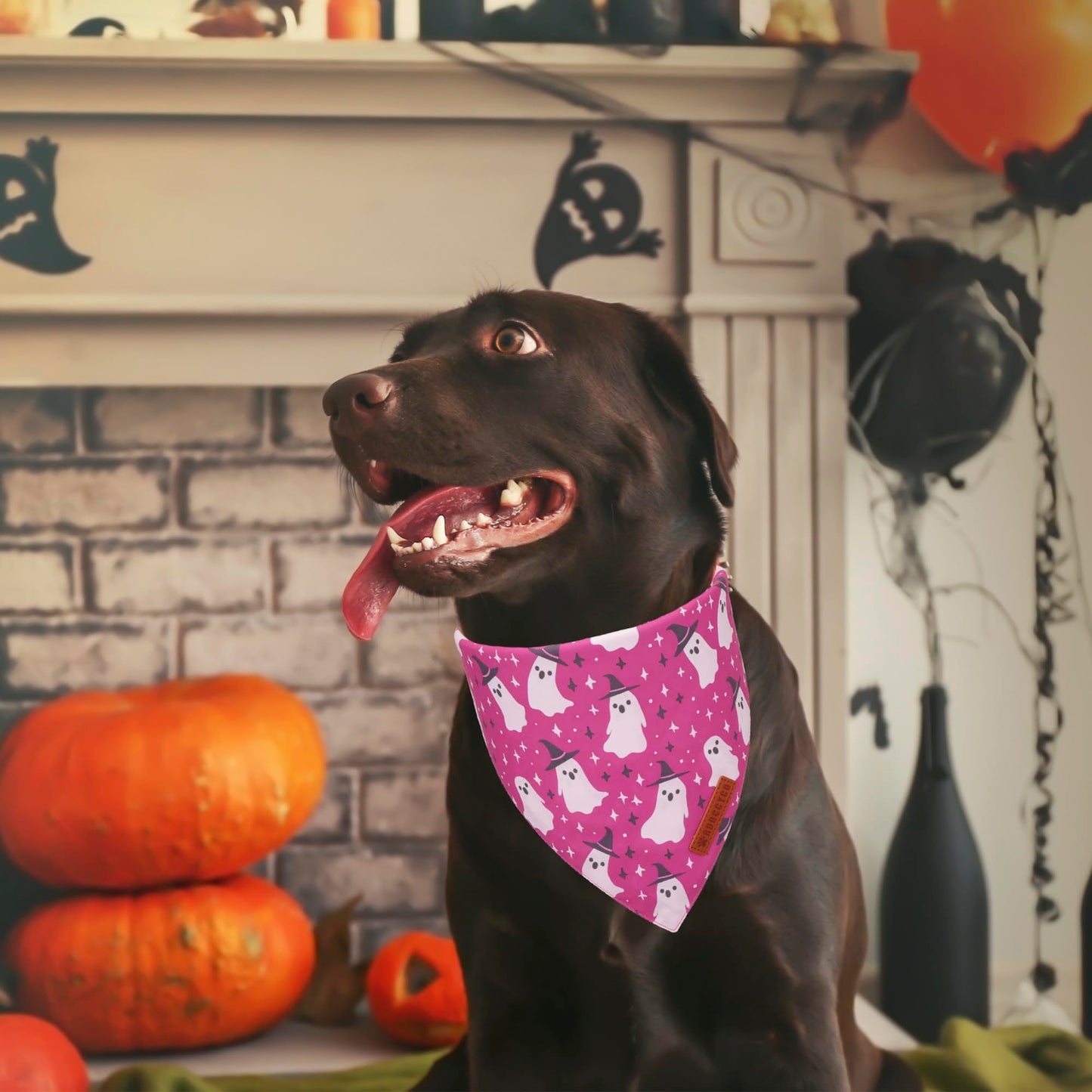 ADOGGYGO Halloween Dog Bandana, Halloween Pumpkin Ghost Dog Scarf, Premium Durable Fabric, Adjustable Fit Female Dog Halloween Bandanas for Medium Large Dogs Pets (Large, Halloween)