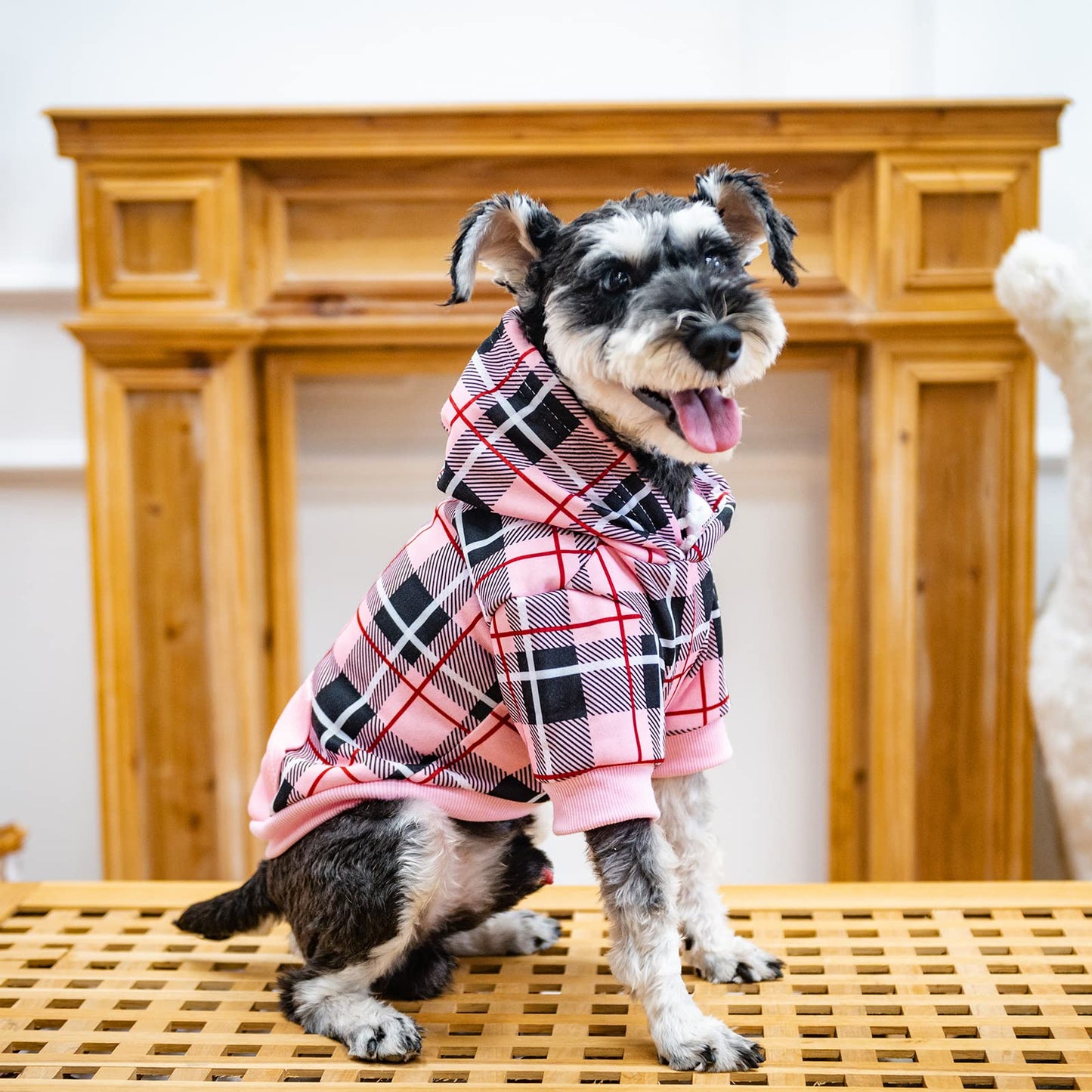 EXPAWLORER Plaid Dog Hoodie - British Style Soft and Warm Dog Sweater with Leash Hole, Hooded Cold Weather Clothes, Dog Sweatshirt, Outfits, Winter Coat for Small Medium Large Dogs