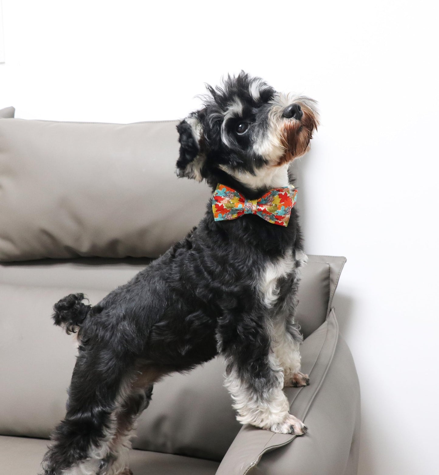 Unique Style Paws Halloween Dog Collar with Bow Cotton Cute Bowtie Dog Collar for Small Medium Large Dogs Holiday Dog Collar