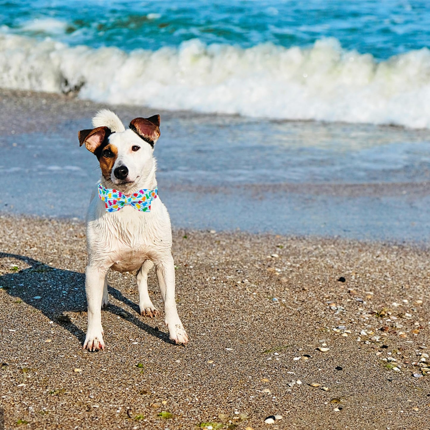 Elegant little tail Dog Collar with Bow, Soft&Comfy Bowtie Dog Collar, Adjustable Pet Gift Collars for Small Medium Large Dogs