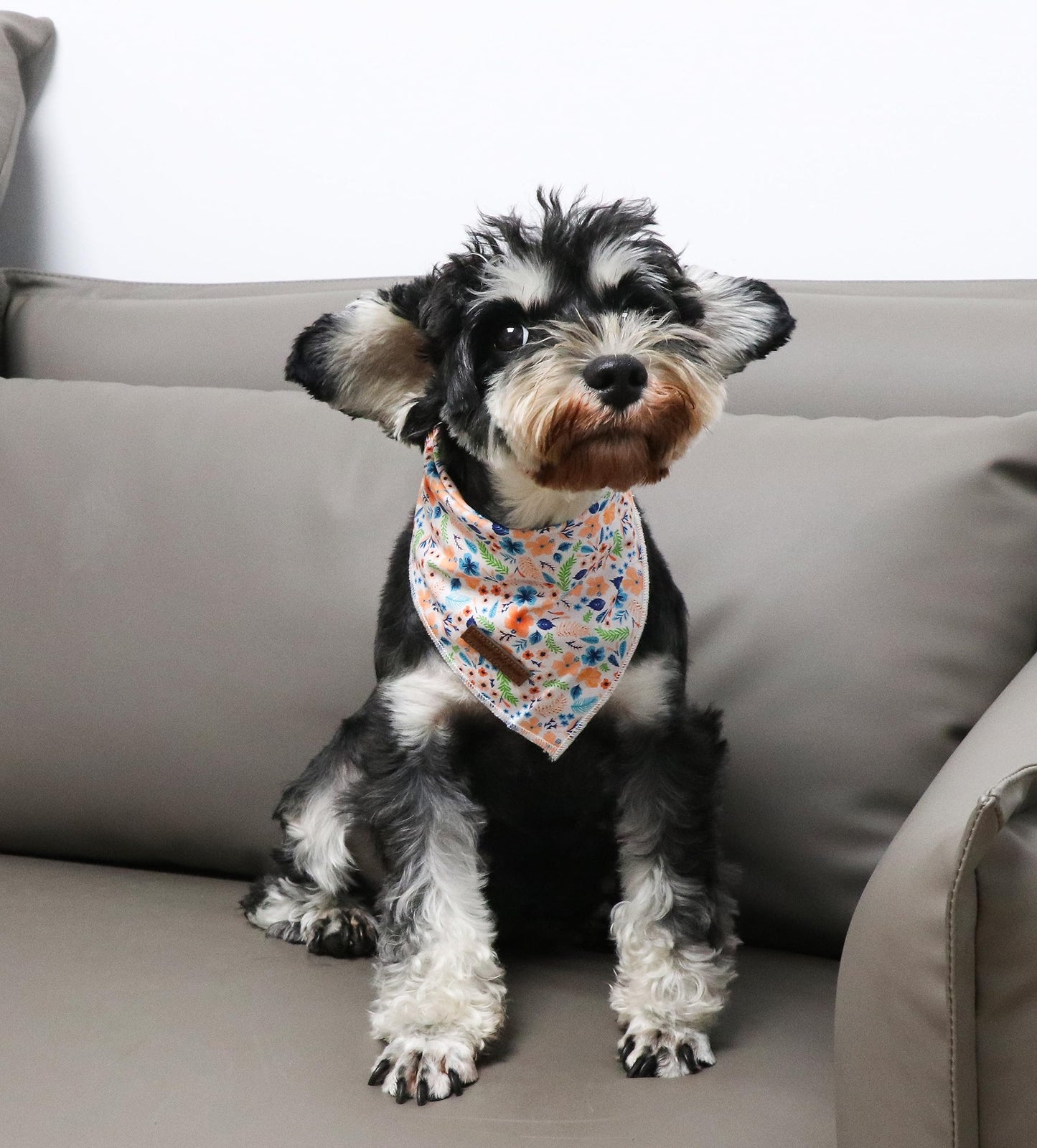 Unique Style Paws Cotton Dog Collar with Bow Halloween Pumpkin Plaid Dog Collar with Bow Tie for Small Medium Large Dogs Pets Gifts