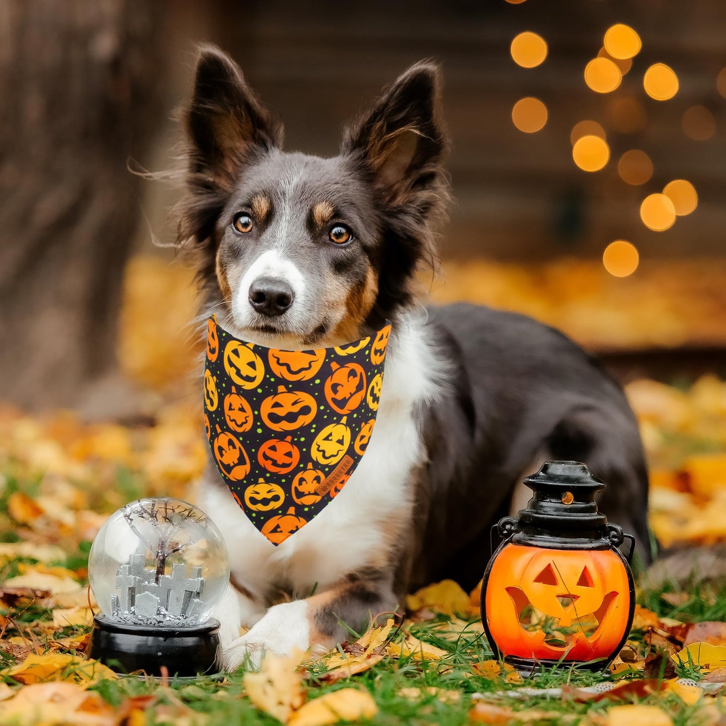 ADOGGYGO Halloween Dog Bandana, Halloween Pumpkin Ghost Dog Scarf, Premium Durable Fabric, Adjustable Fit Female Dog Halloween Bandanas for Medium Large Dogs Pets (Large, Halloween)