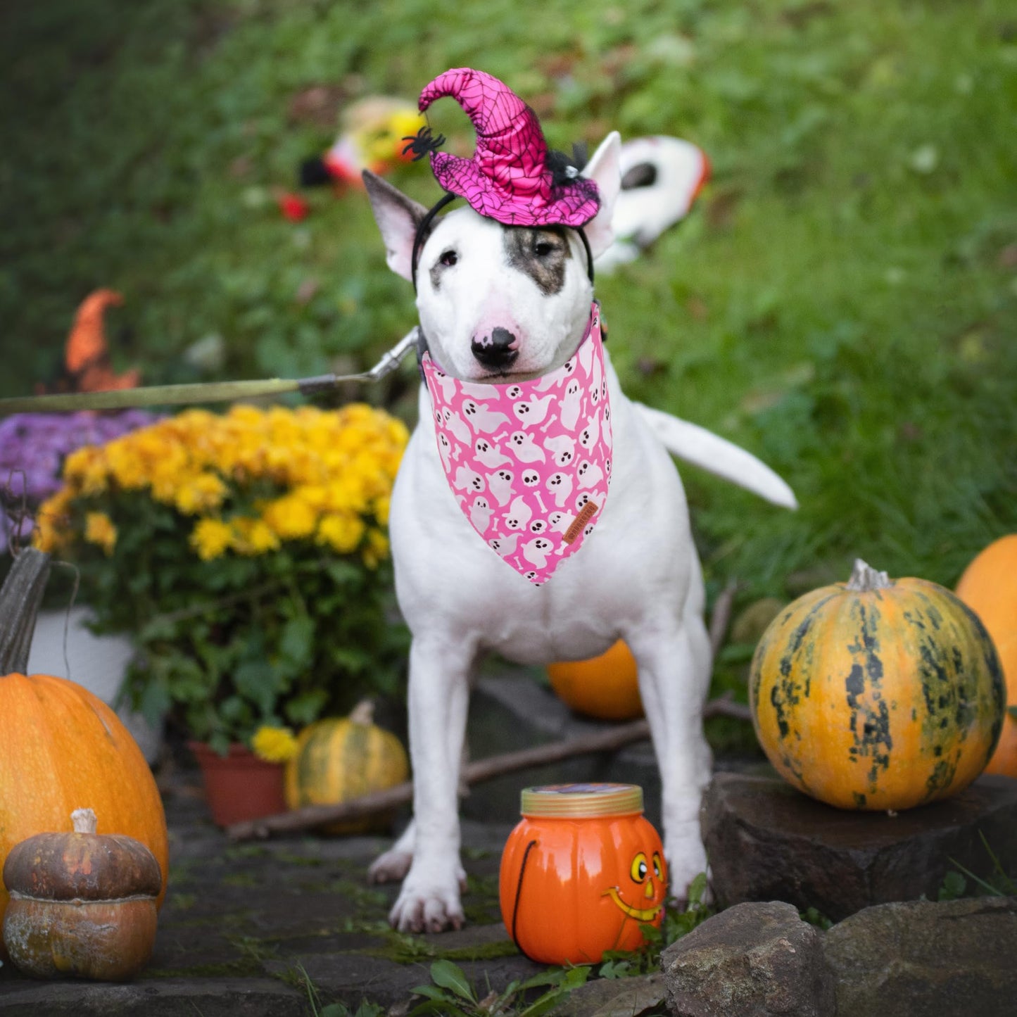 ADOGGYGO Halloween Dog Bandana, Halloween Pumpkin Ghost Dog Scarf, Premium Durable Fabric, Adjustable Fit Female Dog Halloween Bandanas for Medium Large Dogs Pets (Large, Halloween)