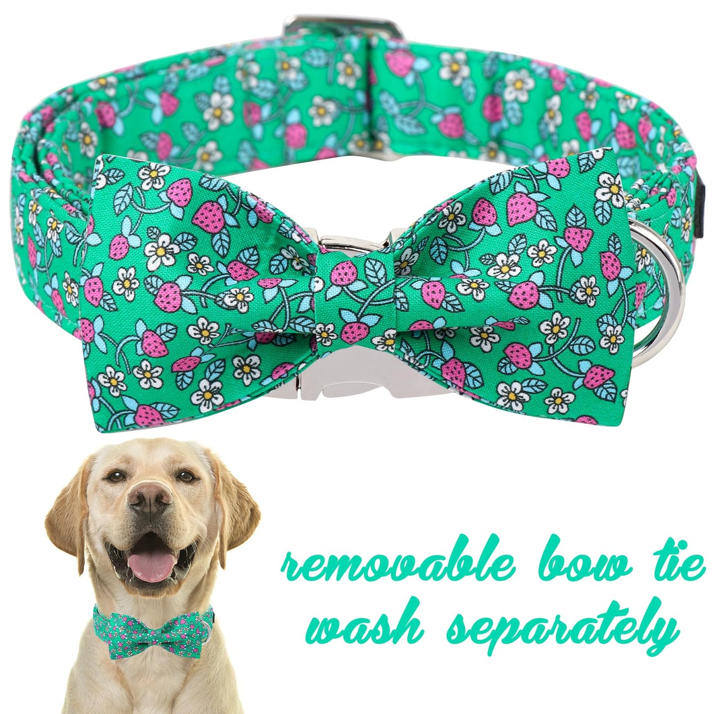 Unique style paws Cartoon Dog Collar with Bow Spring Summer Collar with Flower for Small Medium Large Boys Girls Dogs