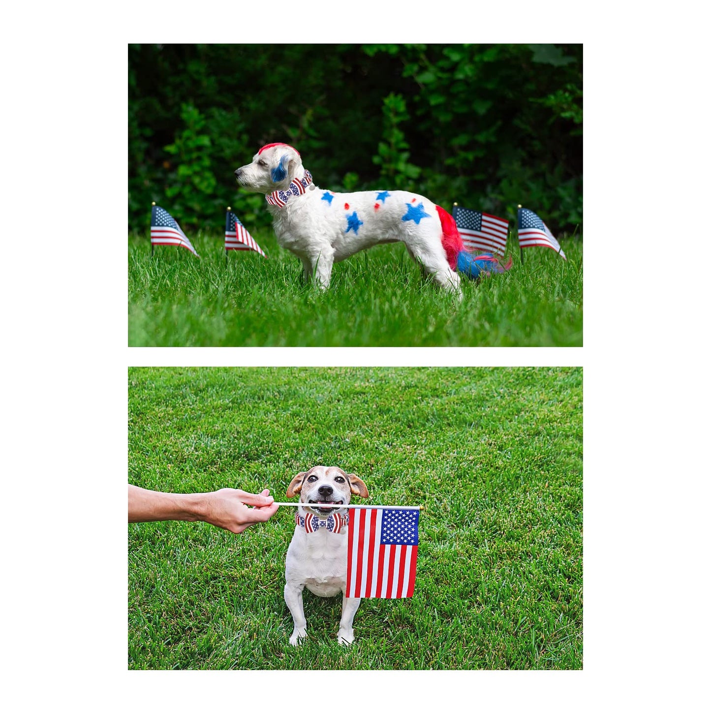 American Flag Dog Collar with Bow Tie, 4th of July Comfortable Cotton Cute Dog Collar with Metal Buckle, Patriotic Bowtie Collar for Puppy Girl Boy Dog, XL, Neck 16-26in