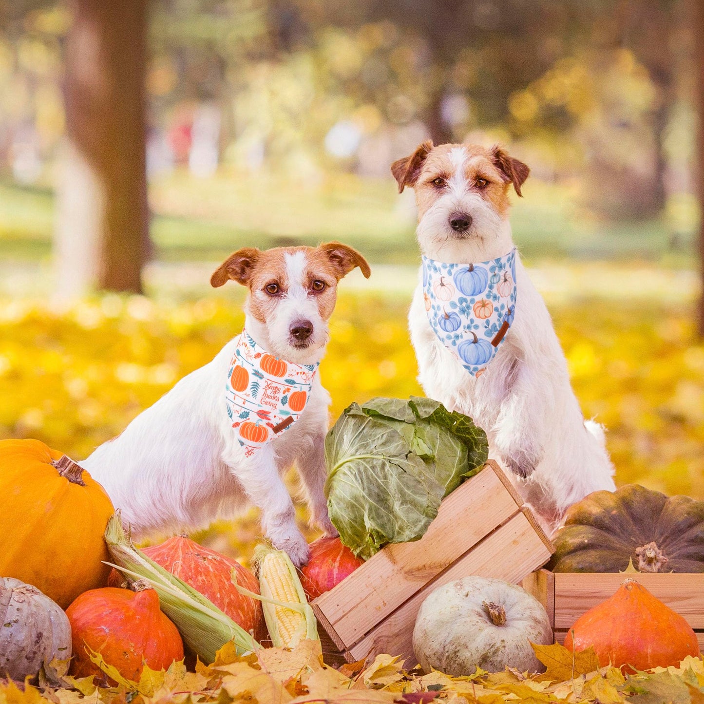 ADOGGYGO Halloween Dog Bandana, Halloween Pumpkin Ghost Dog Scarf, Premium Durable Fabric, Adjustable Fit Female Dog Halloween Bandanas for Medium Large Dogs Pets (Large, Halloween)