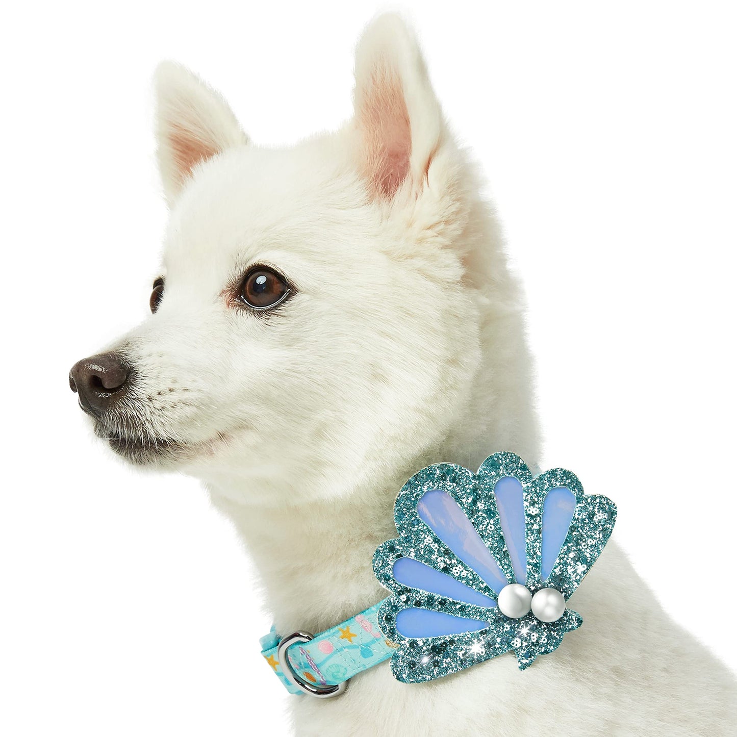 Blueberry Pet Summer Sparkle Dog Collar, Adjustable Small Size, Neck 12"-16", Zesty Fruit Watermelon Blue, Pet Collar with Detachable Accessory