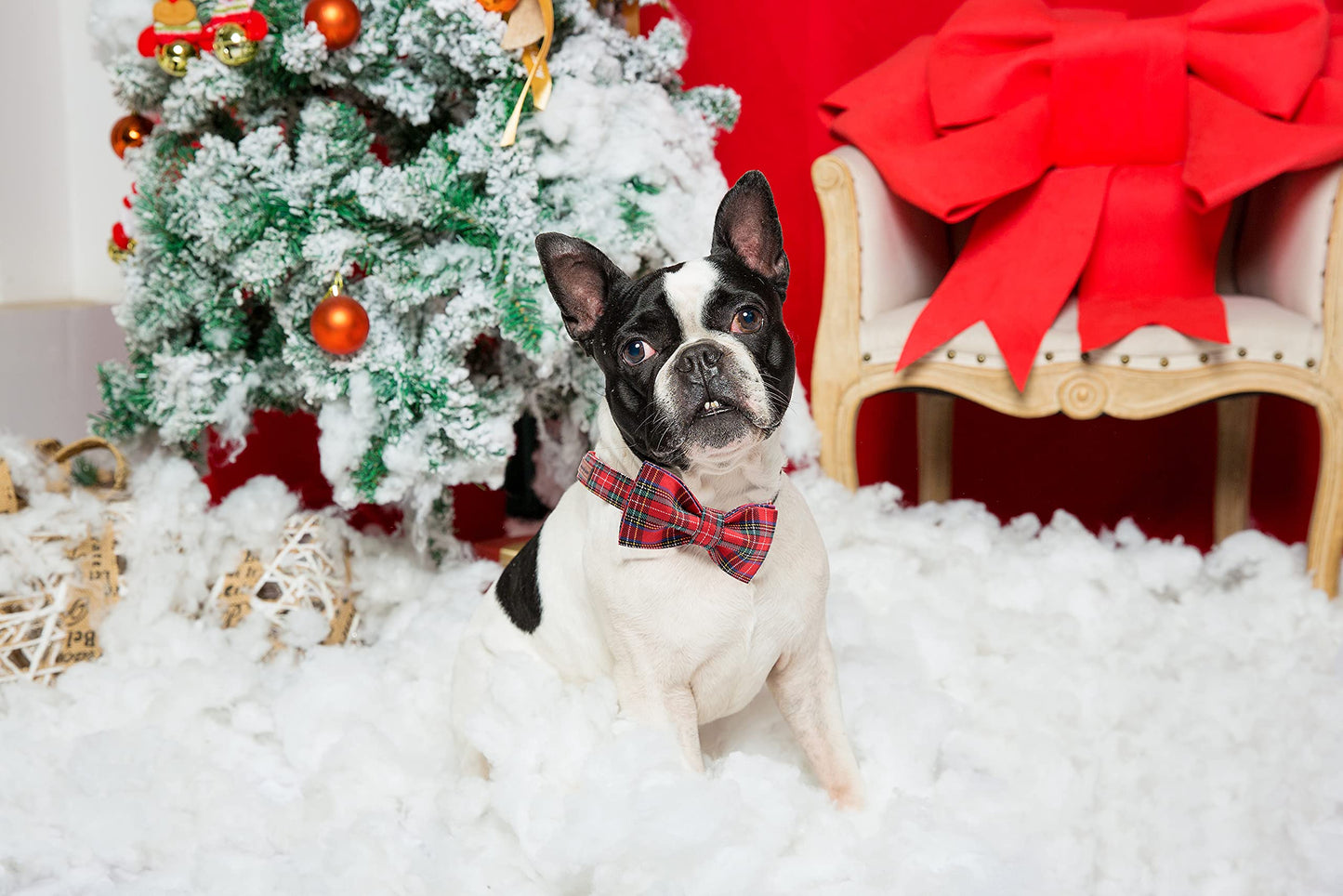 Unique style paws Christmas Dog Collar with Bow Tie Winter Gingerbread Snowman Theme Puppy Collar for Small Medium Large Dogs-M