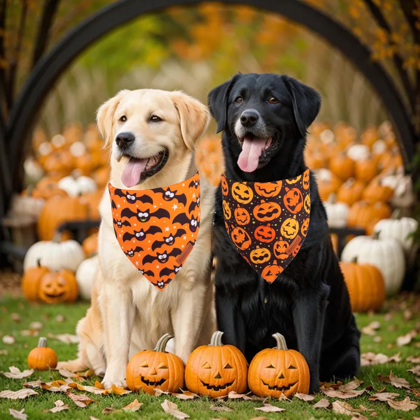 ADOGGYGO Halloween Dog Bandana, Halloween Pumpkin Ghost Dog Scarf, Premium Durable Fabric, Adjustable Fit Female Dog Halloween Bandanas for Medium Large Dogs Pets (Large, Halloween)