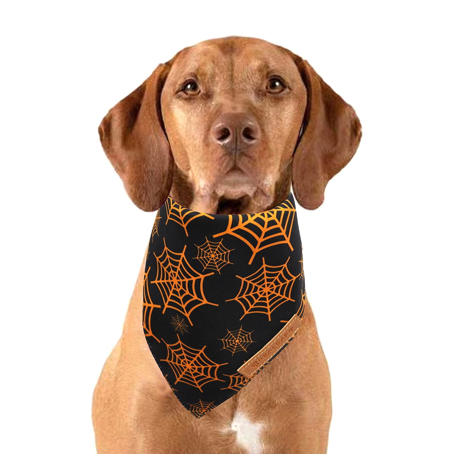 Realeaf Halloween Dog Bandanas 2 Pack, Pumpkin and Spider Web Bibs, Triangle Reversible Fall Pet Scarf, Premium Durable Fabric, Adjustable Fit (Large)