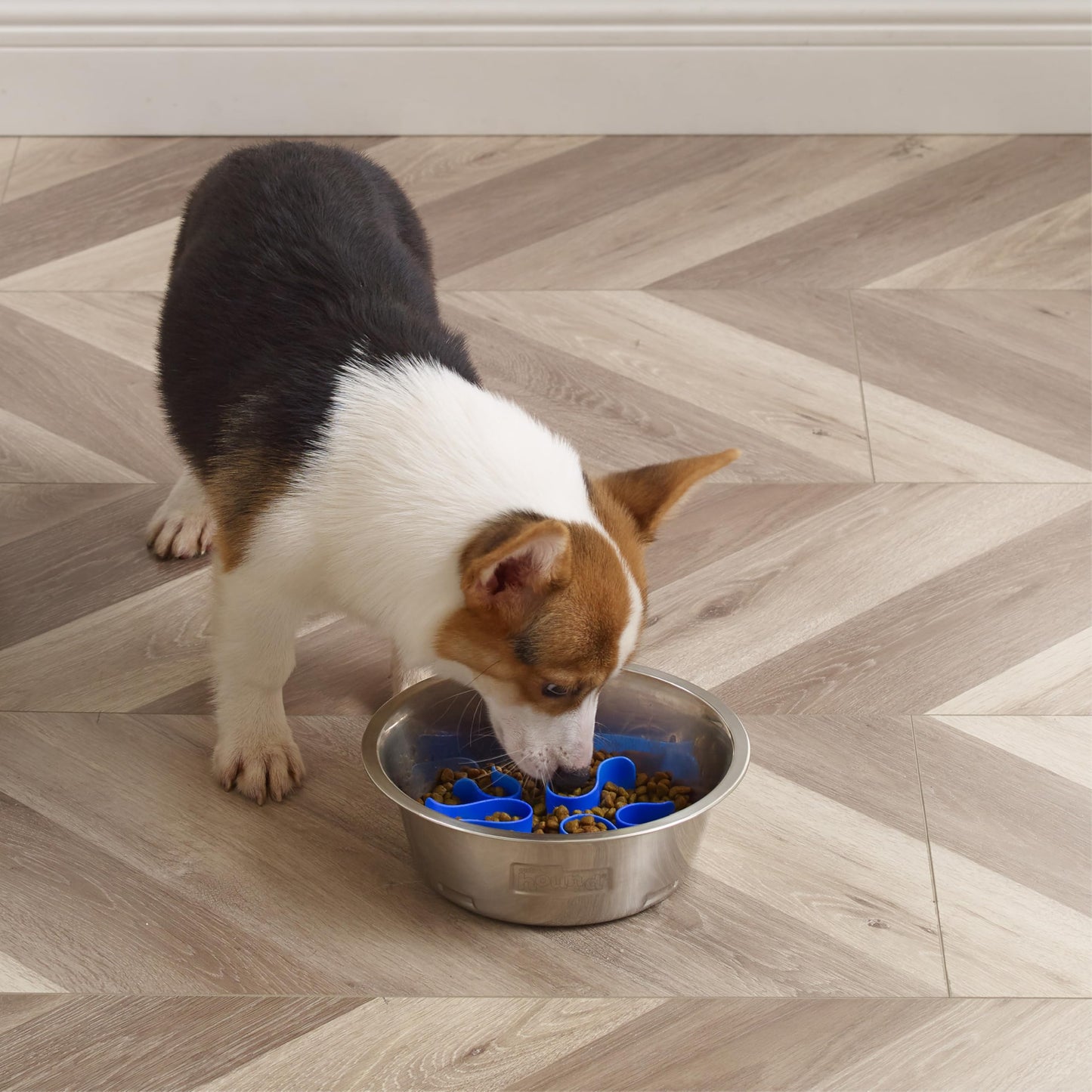 Outward Hound Fun Feeder Slo Bowl, Medium Slow Feeder Dog Bowl, 2 Cups, Gray