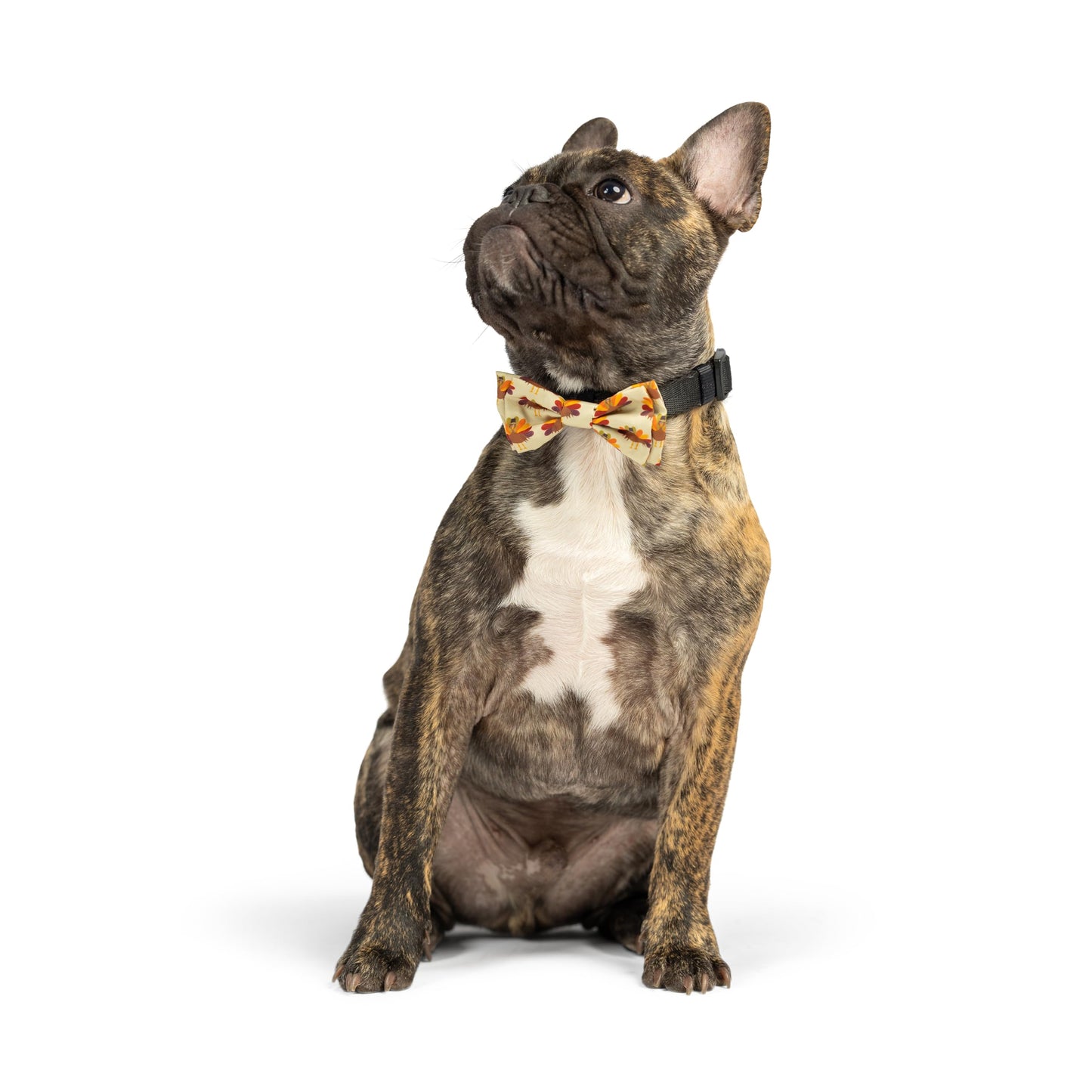 Huxley & Kent Bow Tie for Pets | Fall Check (Extra-Large) | Bow Tie Collar Attachment | Fun Bow Ties for Dogs & Cats | Cute, Comfortable, and Durable | H&K Bow Tie