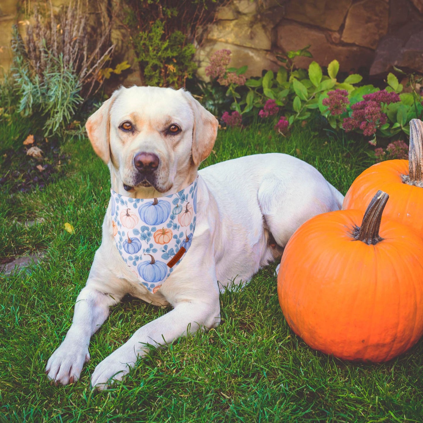 ADOGGYGO Halloween Dog Bandana, Halloween Pumpkin Ghost Dog Scarf, Premium Durable Fabric, Adjustable Fit Female Dog Halloween Bandanas for Medium Large Dogs Pets (Large, Halloween)