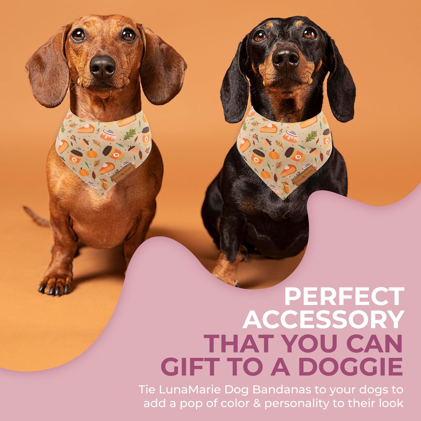 Luxury Pet Birthday Bandanas -Premium & Silky Poly Fabric | 100% Handmade | Custom Shape Dual Layered (Birthday Girl, Medium)