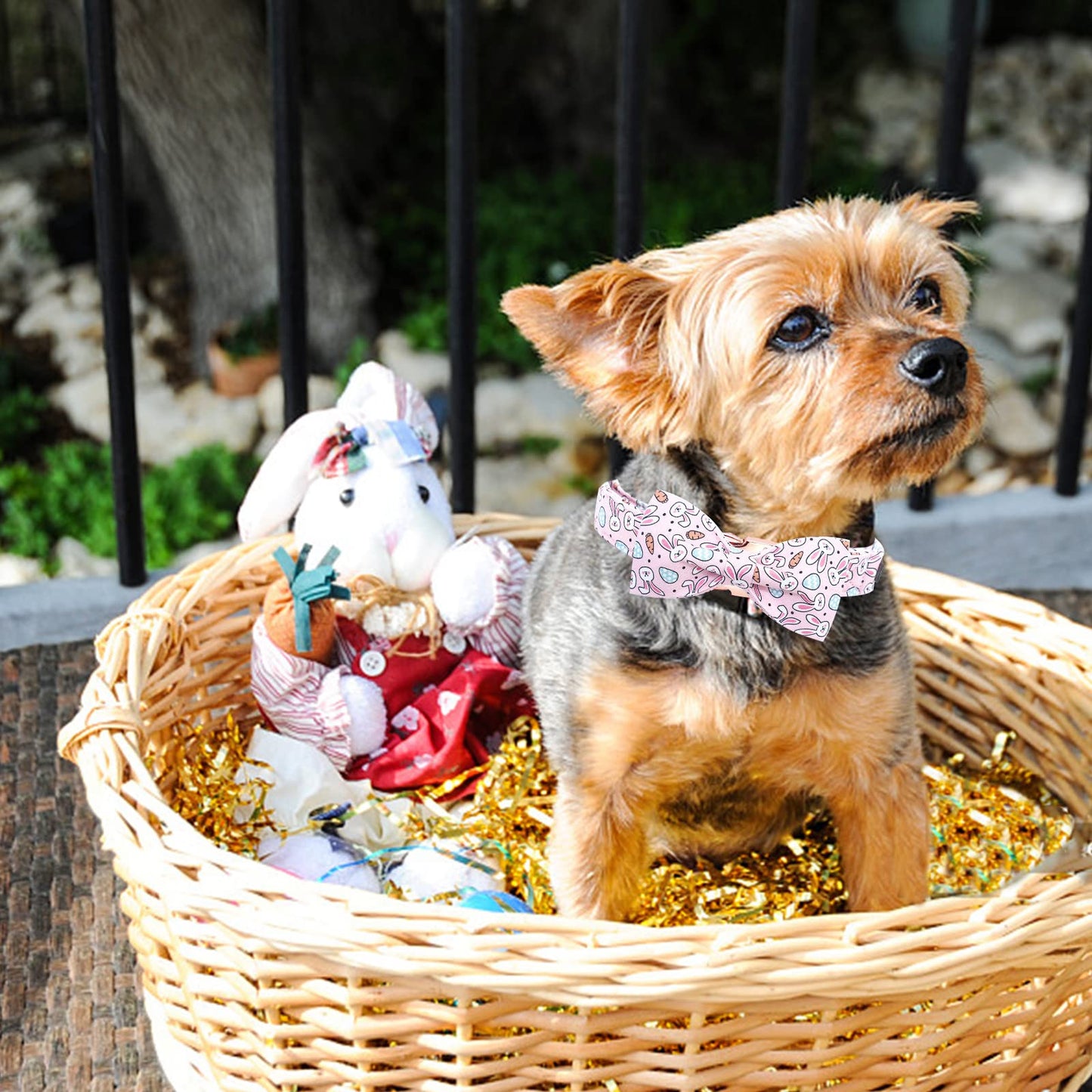 Elegant little tail Dog Collar with Bow, Lucky Clover Bow Tie Dog Collar, Cute Dog Bowtie Pet Gift Dog Collar for Medium Dogs