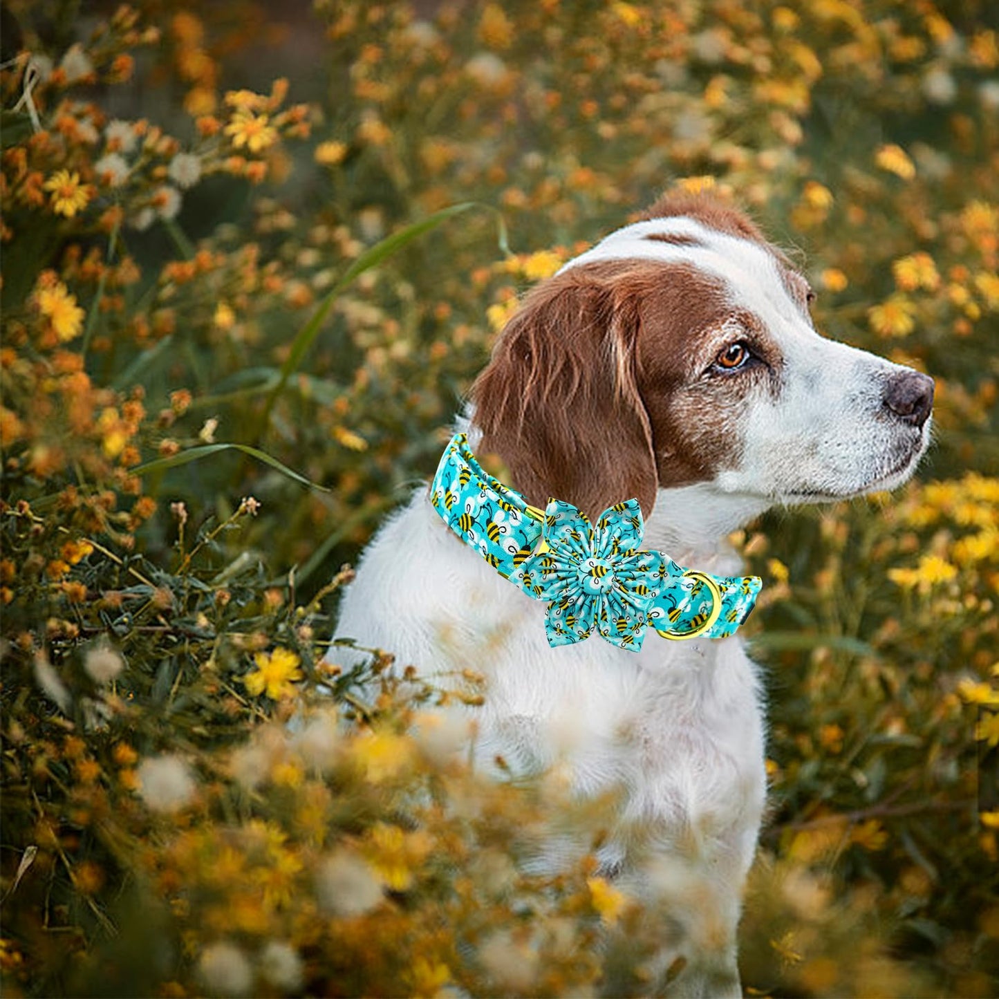 Elegant little tail Sunflower Girl Dog Collar for Female Dogs, Pet Collar Adjustable Dog Collars with Flower Gift for Medium Dogs