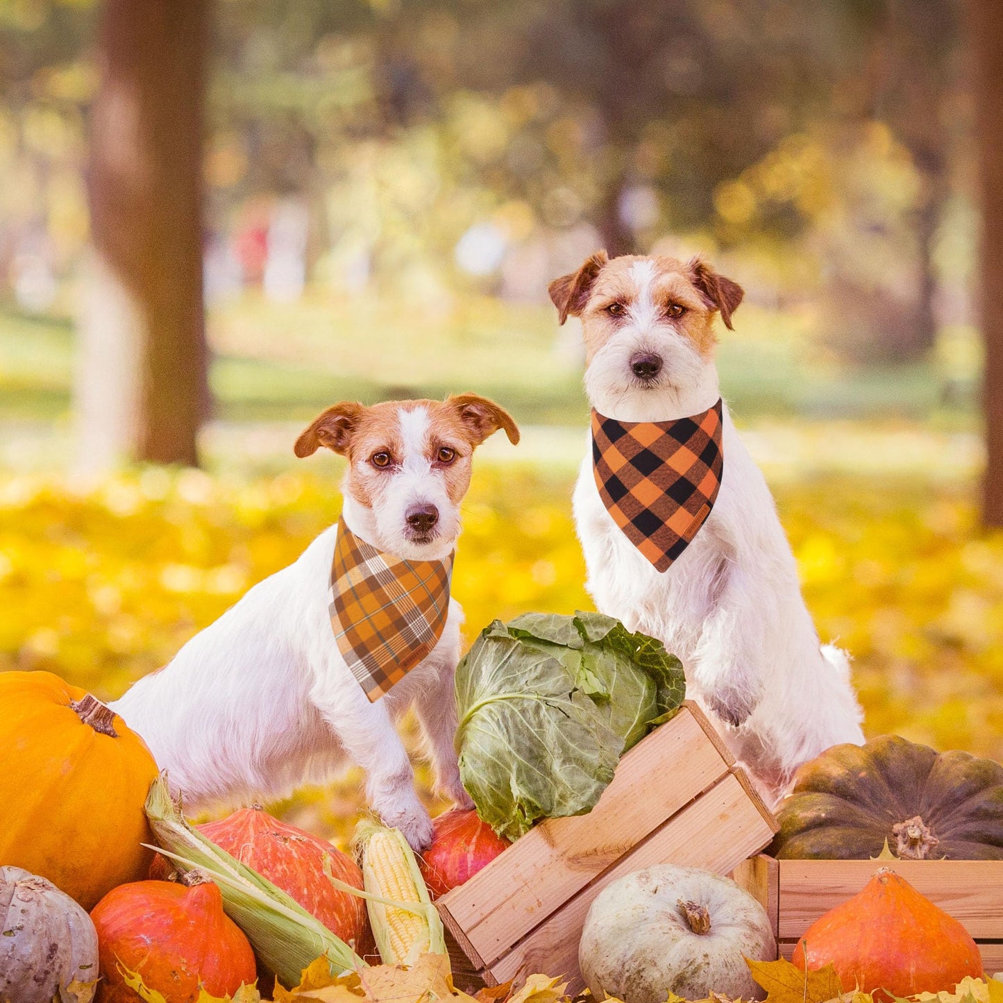 ADOGGYGO Halloween Dog Bandana, Halloween Pumpkin Ghost Dog Scarf, Premium Durable Fabric, Adjustable Fit Female Dog Halloween Bandanas for Medium Large Dogs Pets (Large, Halloween)