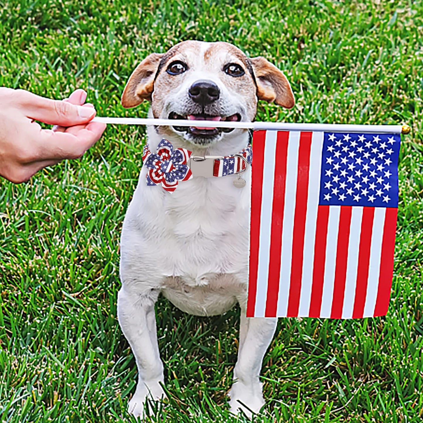 American Flag Dog Collar with Bow Tie, 4th of July Comfortable Cotton Cute Dog Collar with Metal Buckle, Patriotic Bowtie Collar for Puppy Girl Boy Dog, XL, Neck 16-26in