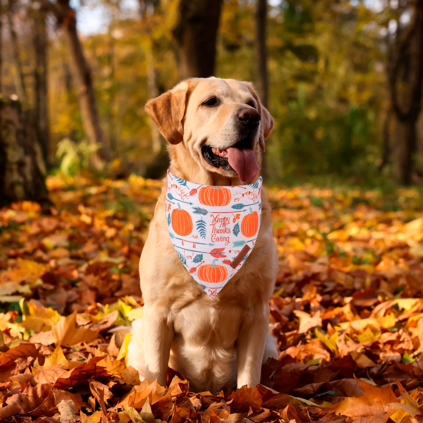 ADOGGYGO Halloween Dog Bandana, Halloween Pumpkin Ghost Dog Scarf, Premium Durable Fabric, Adjustable Fit Female Dog Halloween Bandanas for Medium Large Dogs Pets (Large, Halloween)