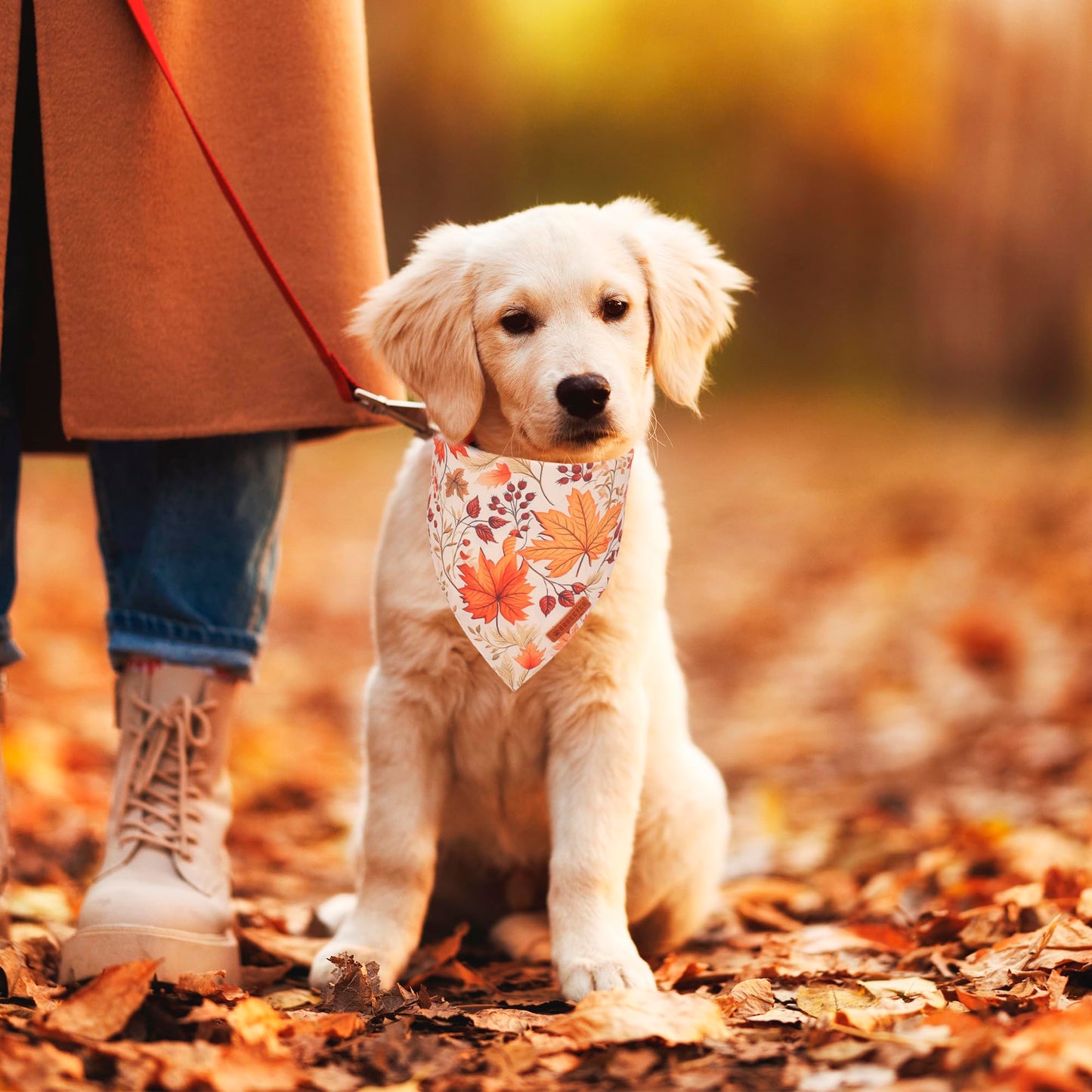 ADOGGYGO Halloween Dog Bandana, Halloween Pumpkin Ghost Dog Scarf, Premium Durable Fabric, Adjustable Fit Female Dog Halloween Bandanas for Medium Large Dogs Pets (Large, Halloween)