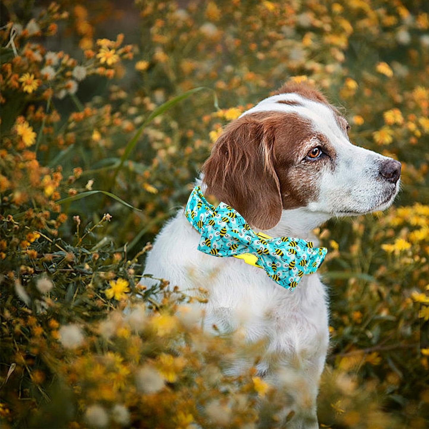 Elegant little tail Dog Collar with Bow, Soft&Comfy Bowtie Dog Collar, Adjustable Pet Gift Collars for Small Medium Large Dogs