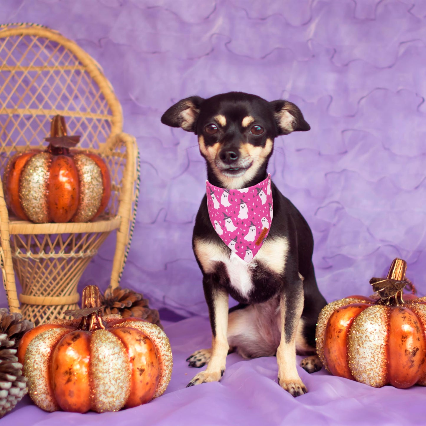 ADOGGYGO Halloween Dog Bandana, Halloween Pumpkin Ghost Dog Scarf, Premium Durable Fabric, Adjustable Fit Female Dog Halloween Bandanas for Medium Large Dogs Pets (Large, Halloween)