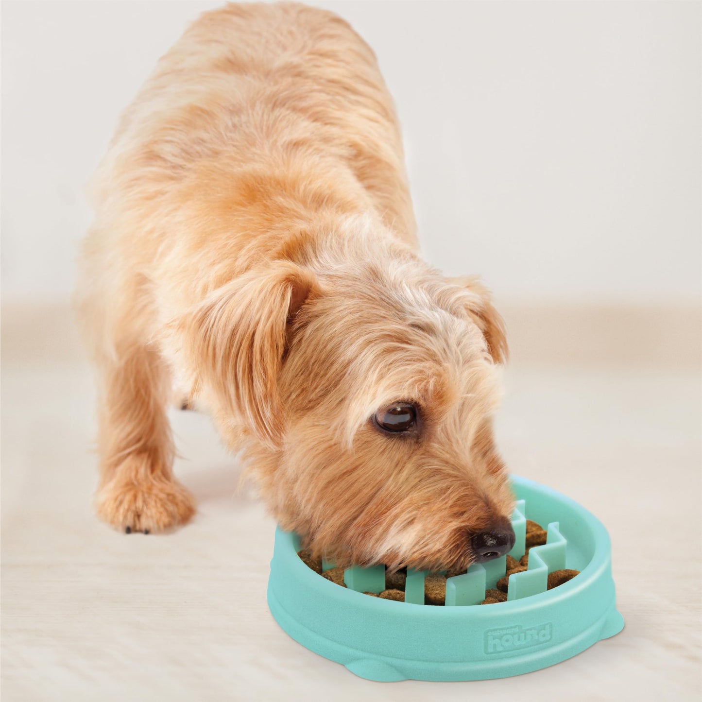 Outward Hound Fun Feeder Slo Bowl, Medium Slow Feeder Dog Bowl, 2 Cups, Gray