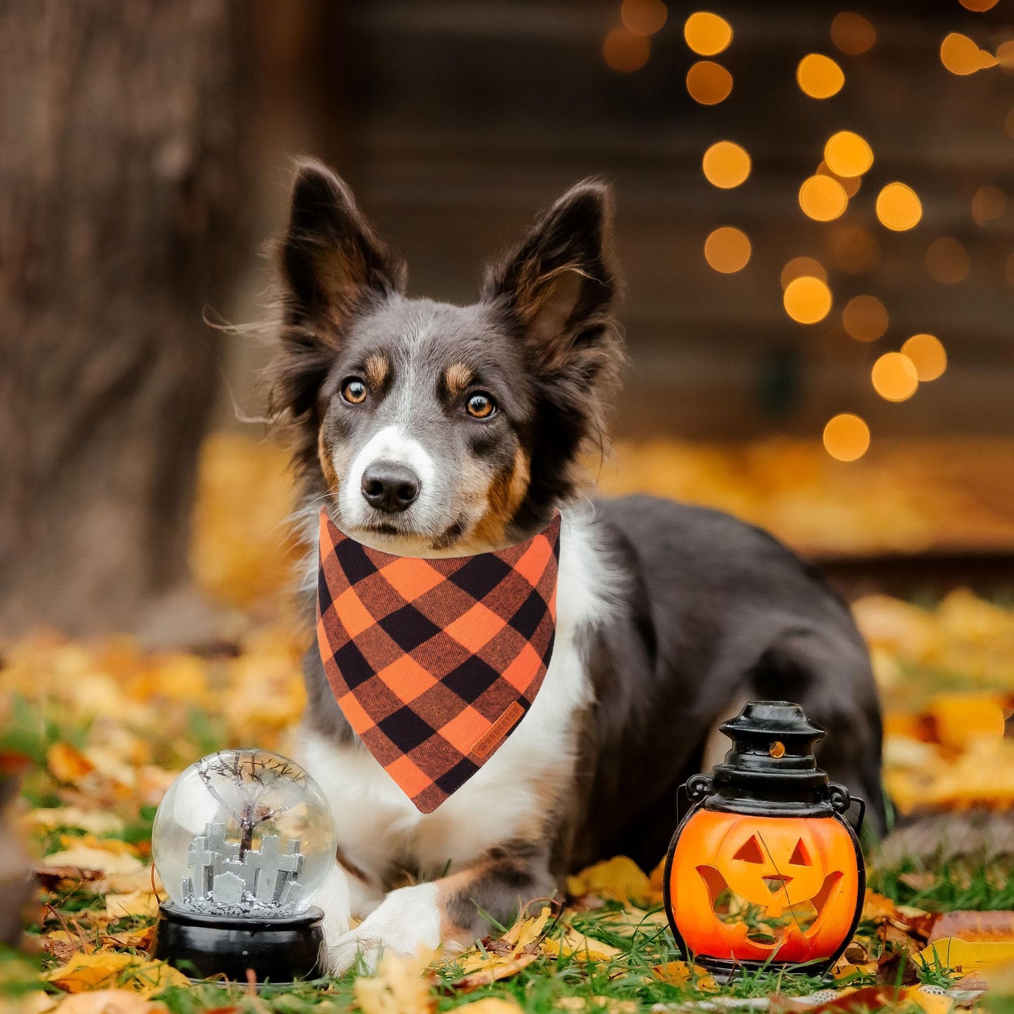 ADOGGYGO Halloween Dog Bandana, Halloween Pumpkin Ghost Dog Scarf, Premium Durable Fabric, Adjustable Fit Female Dog Halloween Bandanas for Medium Large Dogs Pets (Large, Halloween)