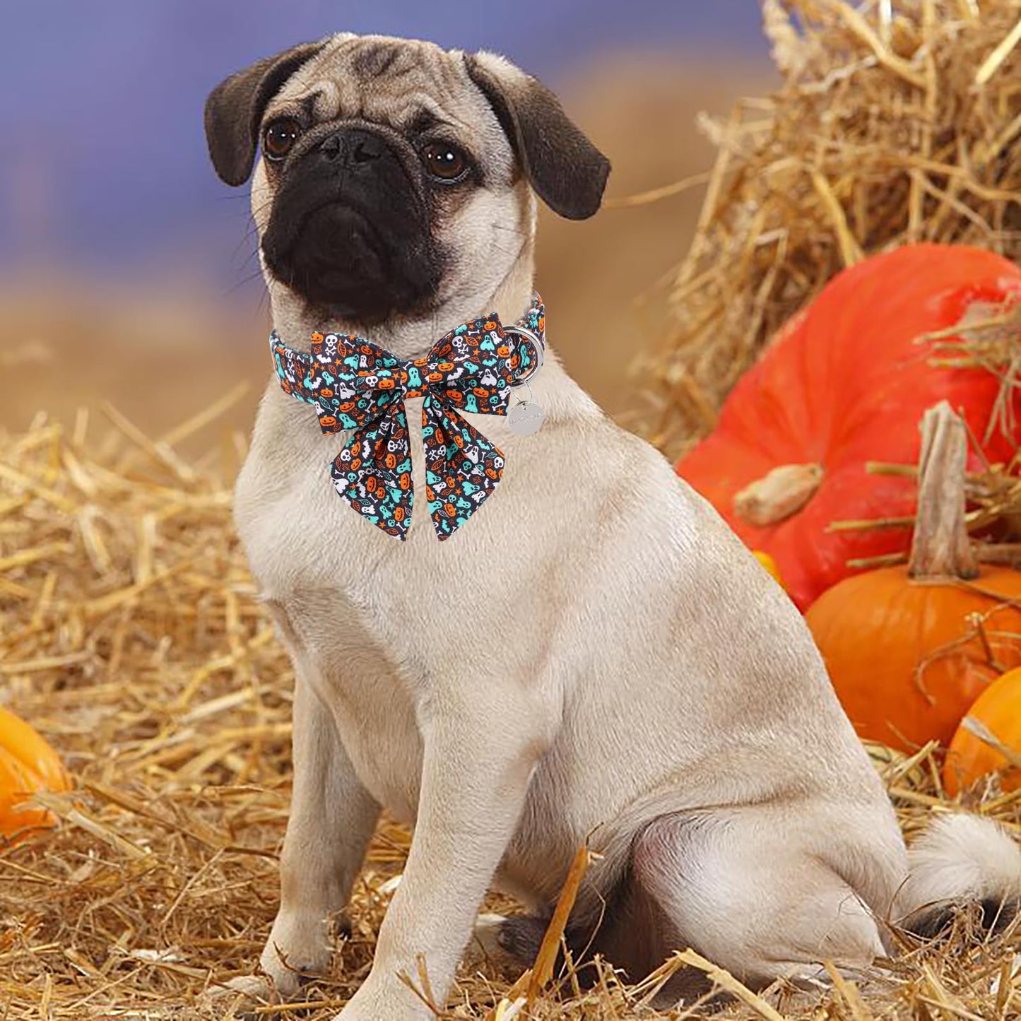 Thanksgiving Dog Collar with Bow Tie, Turkey Cotton Bowtie Collar for Puppy Girl Dog or Cat, Autumn Bow Tie Collar with Durable Metal Buckle, Turkeys Pet Collar, S, Neck 10-16in