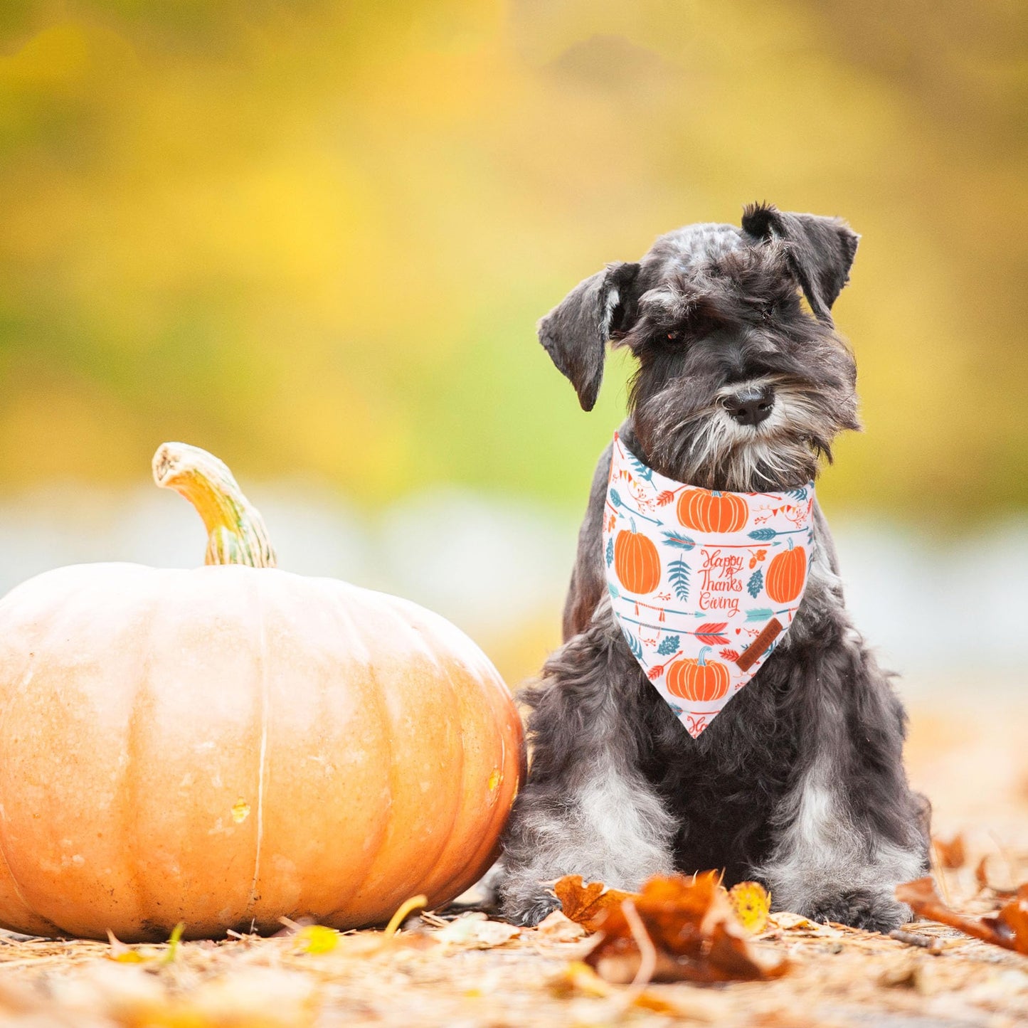 ADOGGYGO Halloween Dog Bandana, Halloween Pumpkin Ghost Dog Scarf, Premium Durable Fabric, Adjustable Fit Female Dog Halloween Bandanas for Medium Large Dogs Pets (Large, Halloween)