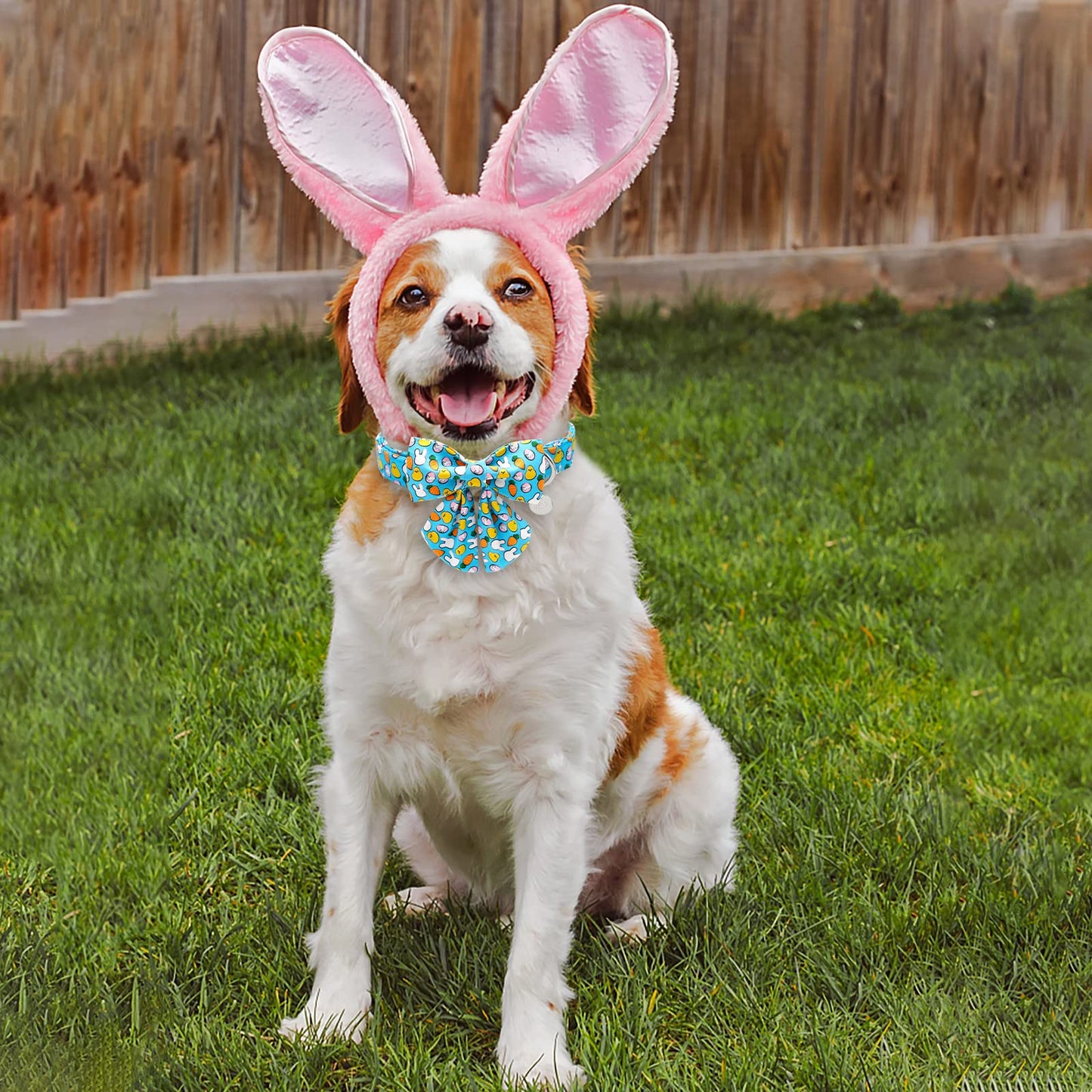 Easter Dog Collar with Bow Tie, Cotton Easter Bowtie Collar for Small Girl Boy Dog, Cute Carrot Pet Collar with Metal Buckle, Easter Day Gift Dog Collar, Blue, S, Neck 10-16in