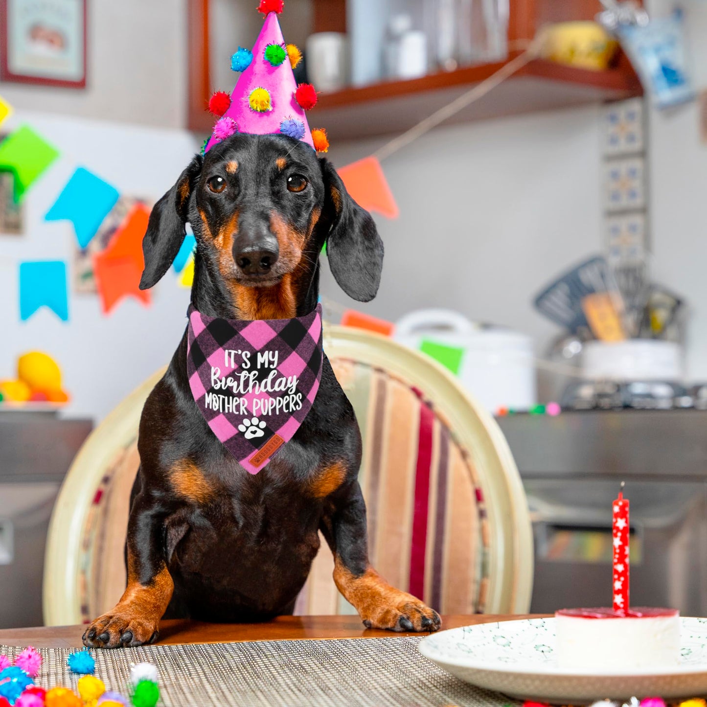 ADOGGYGO Dog Birthday Bandana, Multi Size Offered, Blue Plaid Birthday Boy Dog Bandana for Medium Large Dogs Pets (Blue, Large)