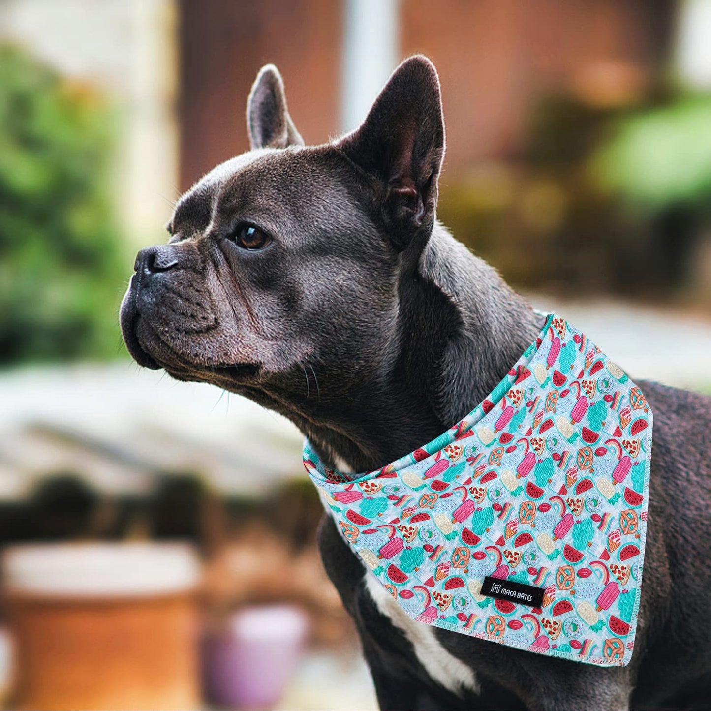 Maca Bates Duck Dog Collar with Bow Bowtie for Dogs Bow Tie Adjustable Breakaway Green Summer Thick Collars Accessories Birthday Gift Colar for XS Small Medium Large XL Boy Girl Male Female Puppy Pet