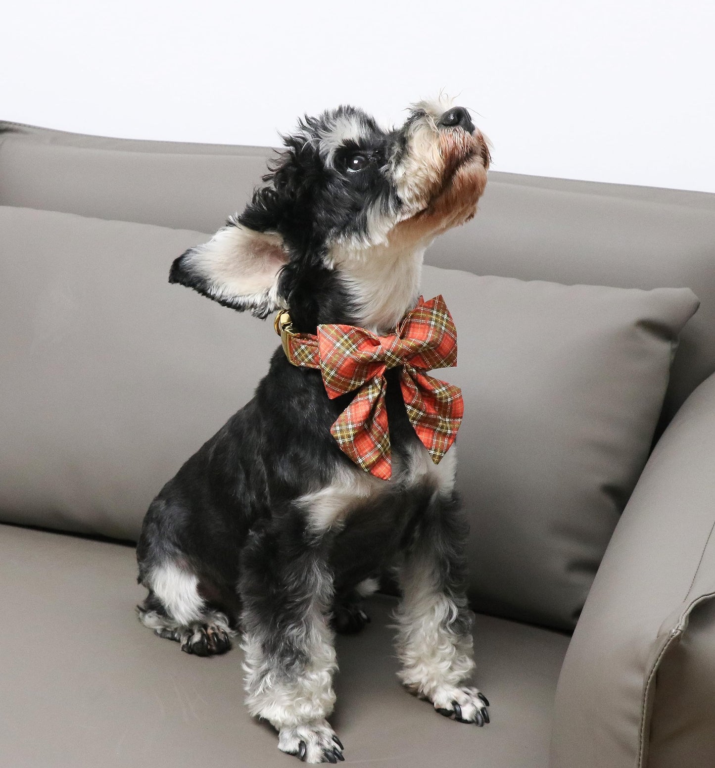 Unique Style Paws Cotton Dog Collar with Bow Halloween Pumpkin Plaid Dog Collar with Bow Tie for Small Medium Large Dogs Pets Gifts