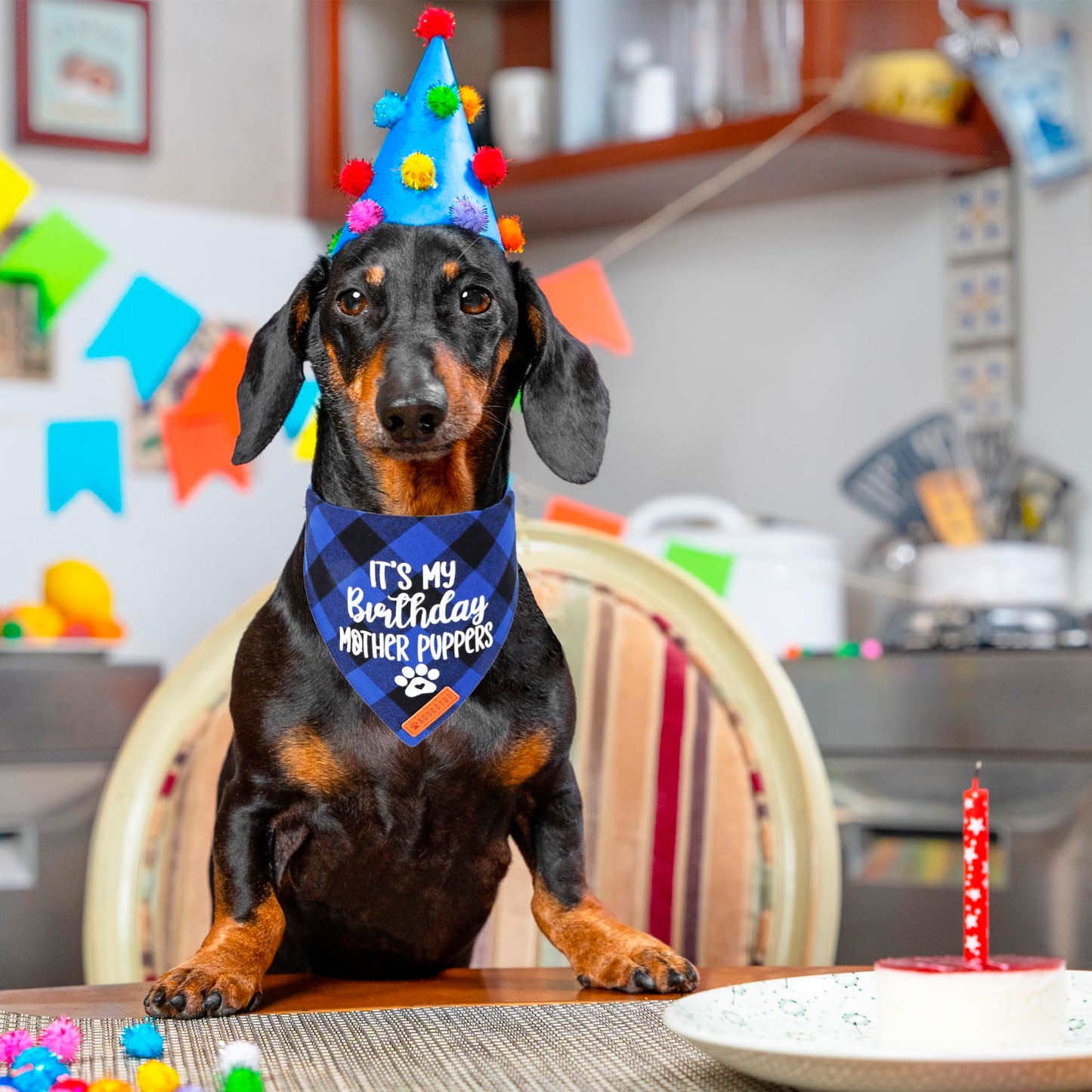 ADOGGYGO Dog Birthday Bandana, Multi Size Offered, Blue Plaid Birthday Boy Dog Bandana for Medium Large Dogs Pets (Blue, Large)