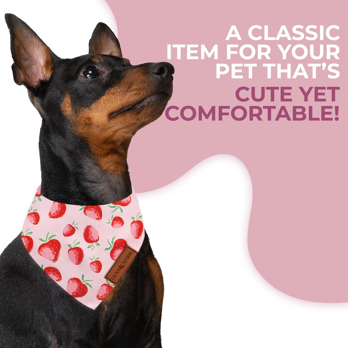 Luxury Pet Birthday Bandanas -Premium & Silky Poly Fabric | 100% Handmade | Custom Shape Dual Layered (Birthday Girl, Medium)