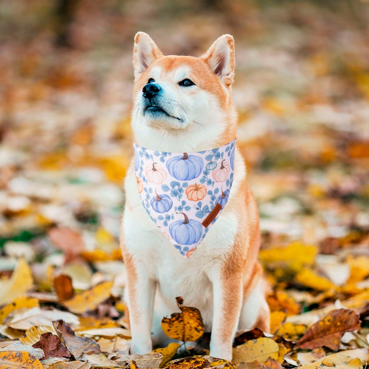 ADOGGYGO Halloween Dog Bandana, Halloween Pumpkin Ghost Dog Scarf, Premium Durable Fabric, Adjustable Fit Female Dog Halloween Bandanas for Medium Large Dogs Pets (Large, Halloween)