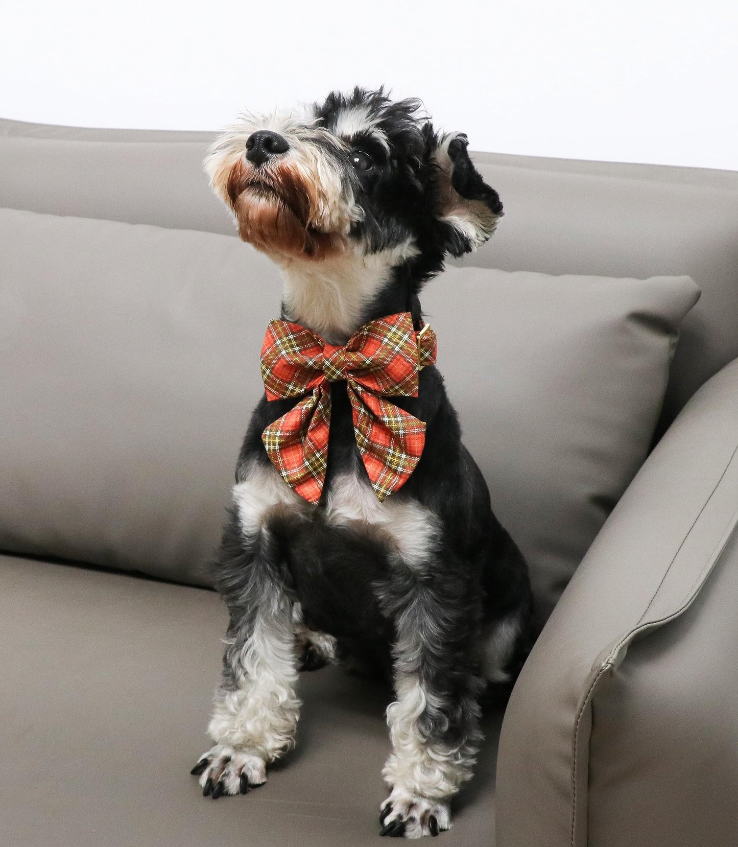 Unique Style Paws Cotton Dog Collar with Bow Halloween Pumpkin Plaid Dog Collar with Bow Tie for Small Medium Large Dogs Pets Gifts