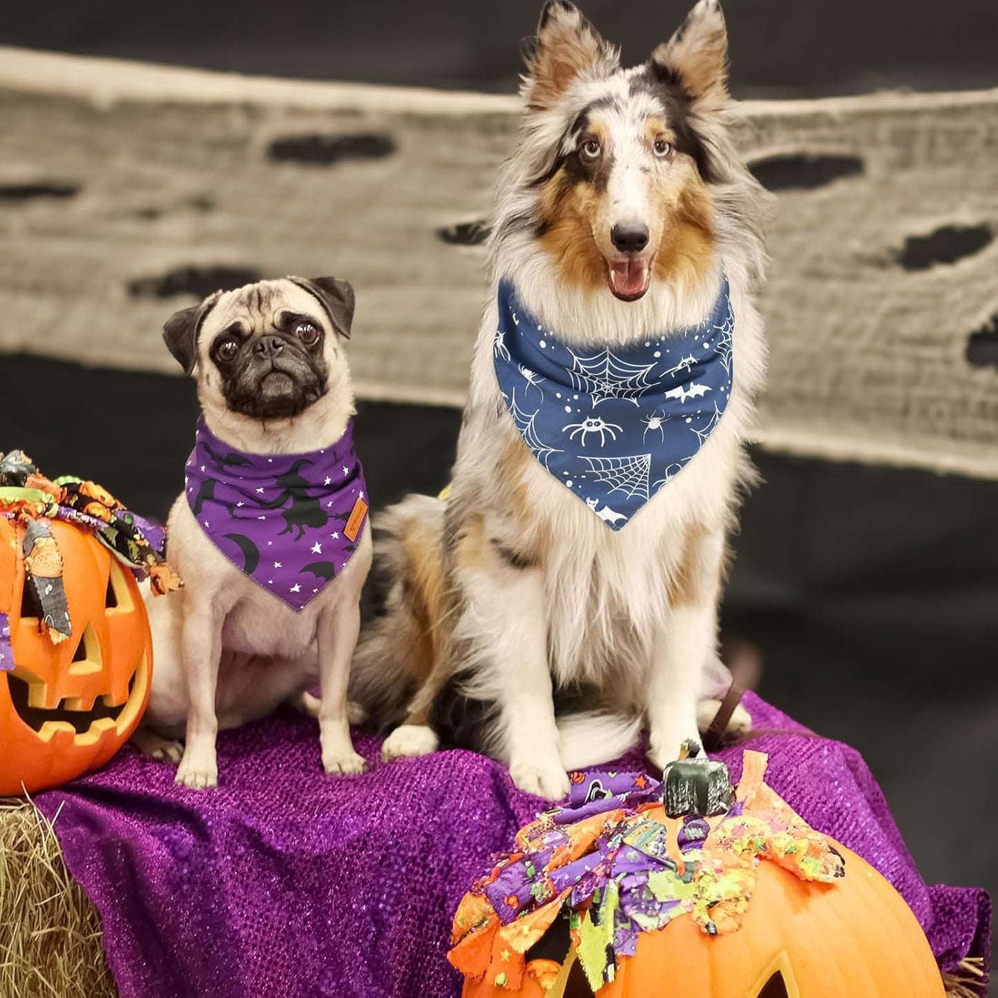 Vehomy 3-Pack Halloween Dog Bandana Pet Halloween Bandanas Reversible Dog Cat Halloween Bandanas Triangle Scarfs Bibs with Spiders Bats Pumpkins Patterns for Puppy Kitten Small Medium Large Dogs