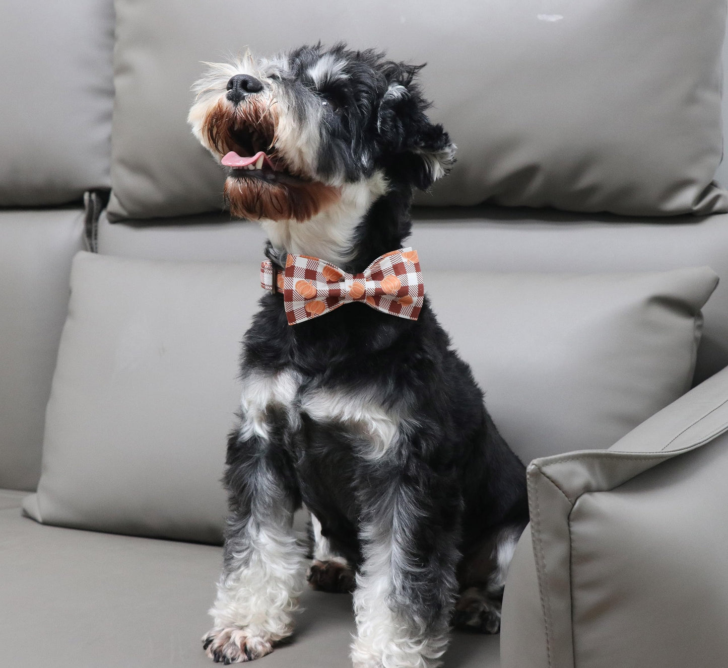 Unique Style Paws Cotton Dog Collar with Bow Halloween Pumpkin Plaid Dog Collar with Bow Tie for Small Medium Large Dogs Pets Gifts